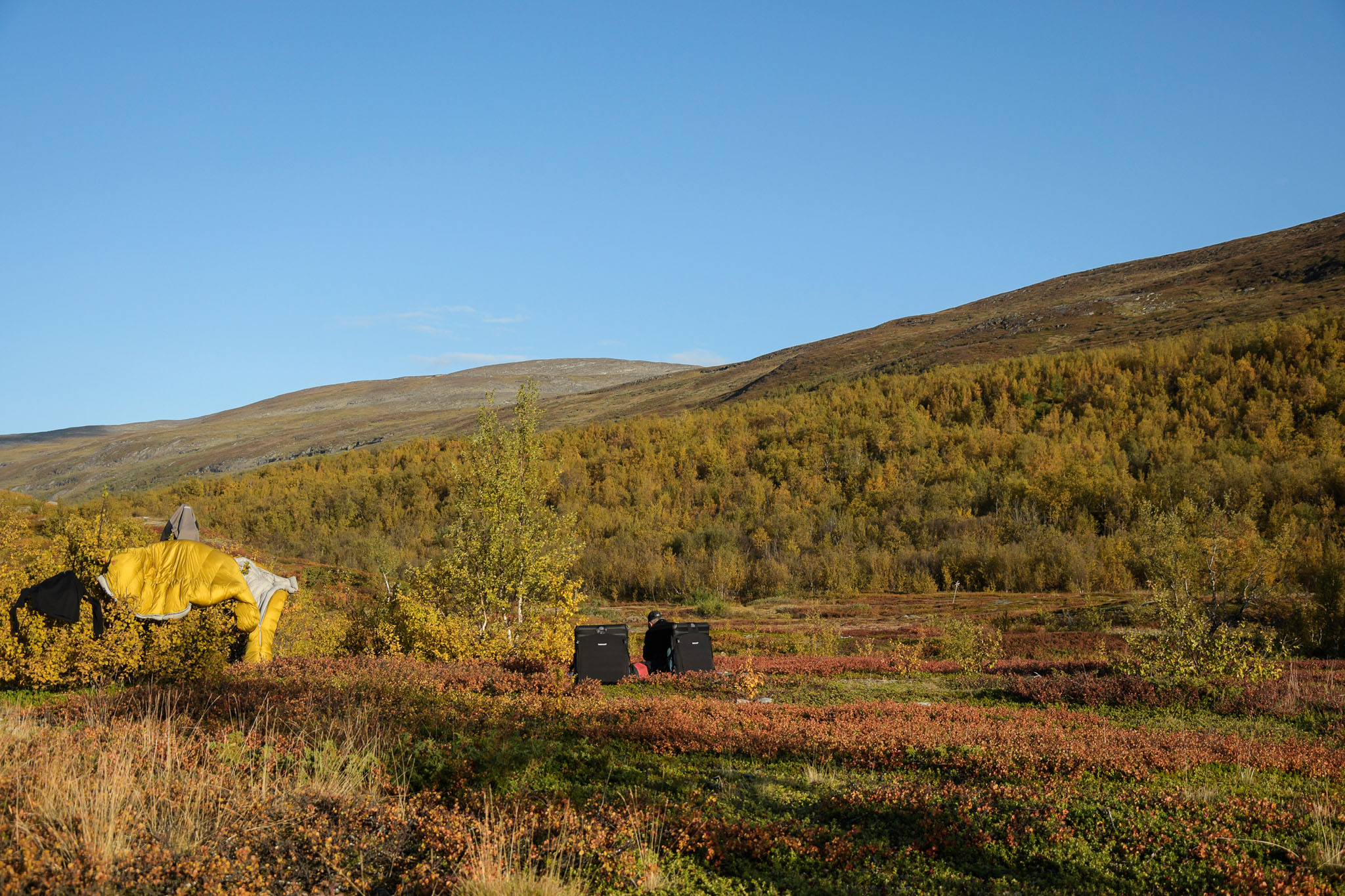 Abisko2018_DSC3096WEB.jpg