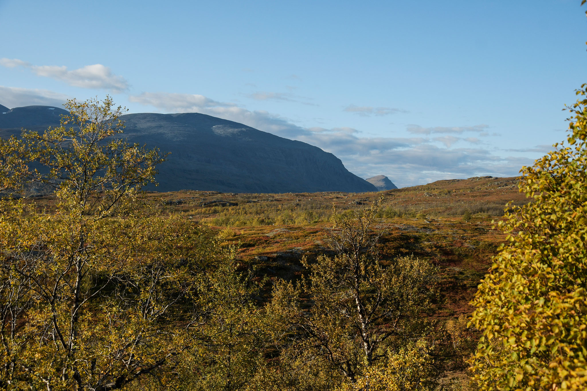 Abisko2018_DSC3097WEB.jpg