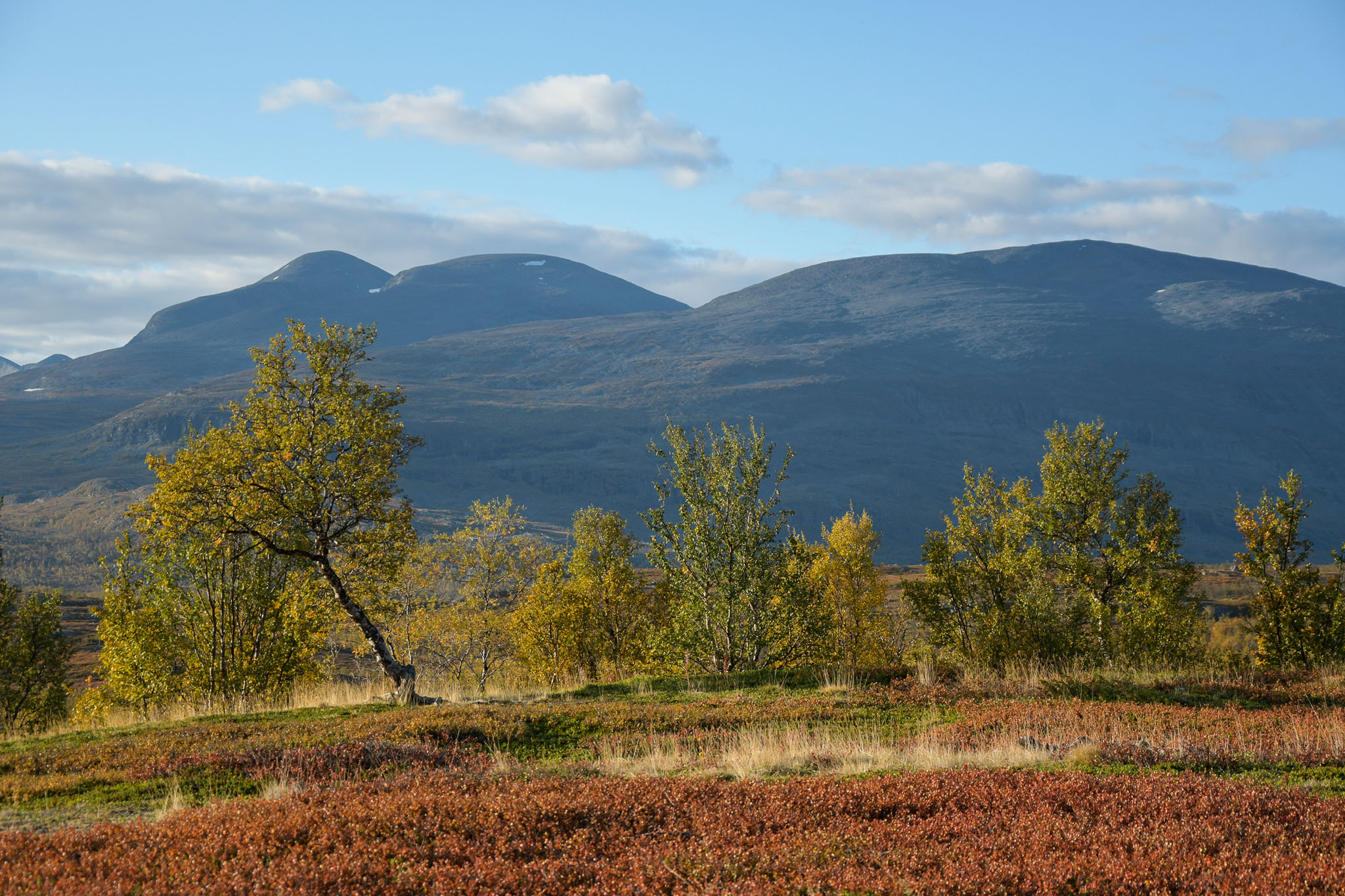 Abisko2018_DSC3105WEB.jpg