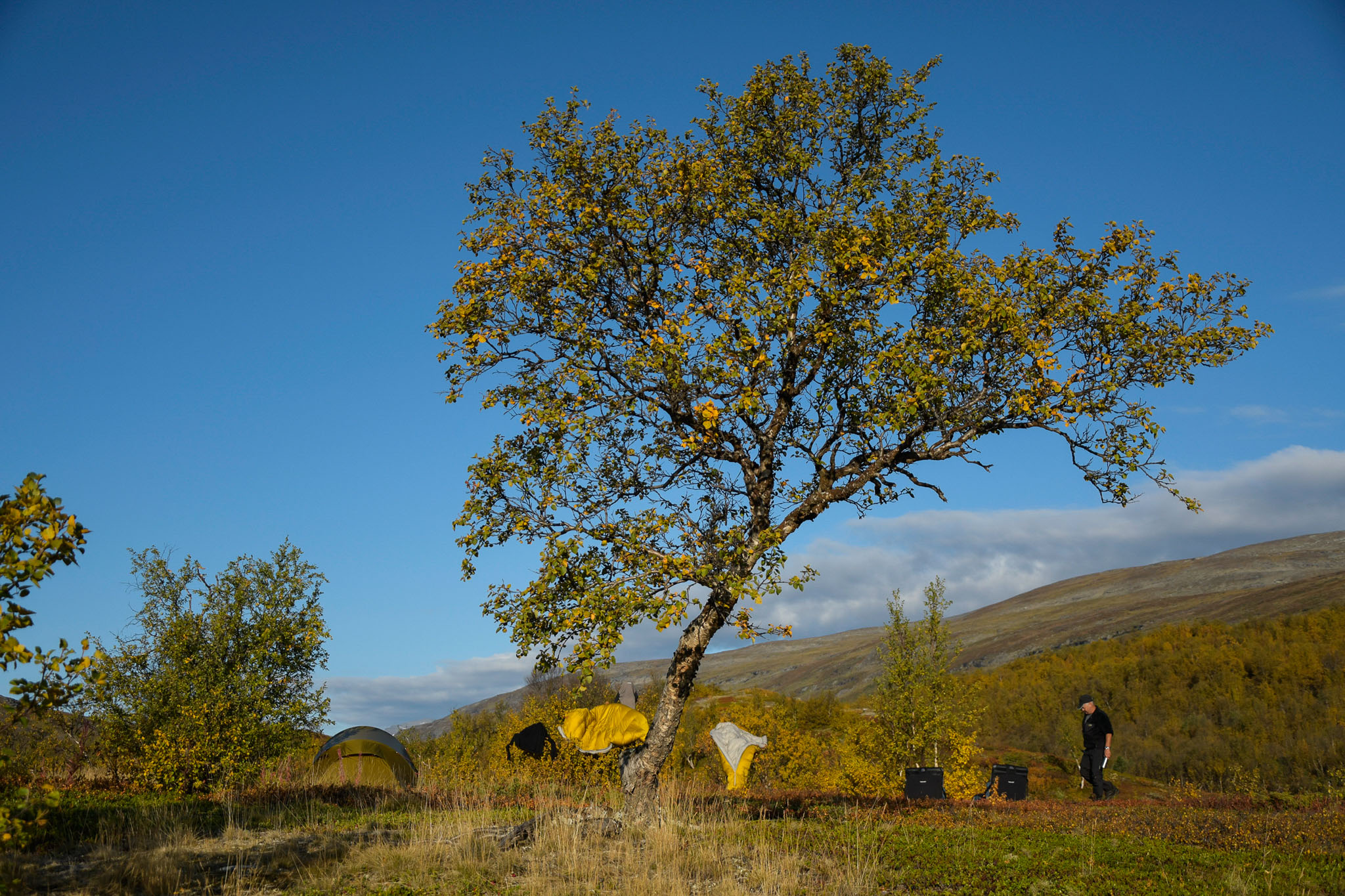 Abisko2018_DSC3112WEB.jpg