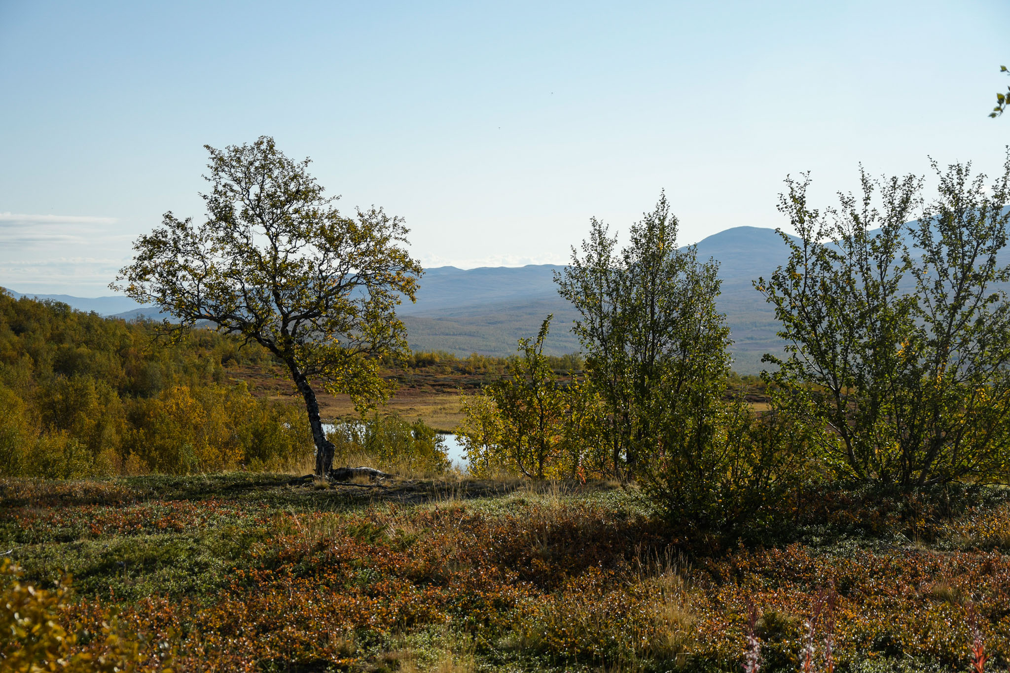 Abisko2018_DSC3117WEB.jpg