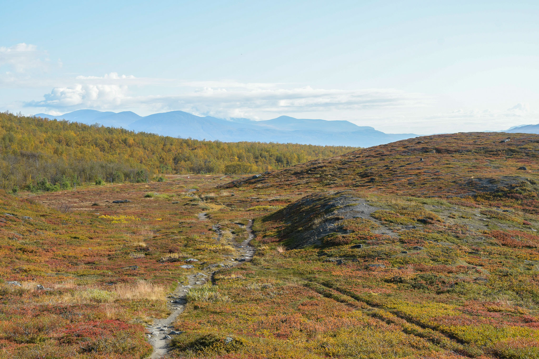 Abisko2018_DSC3124WEB.jpg