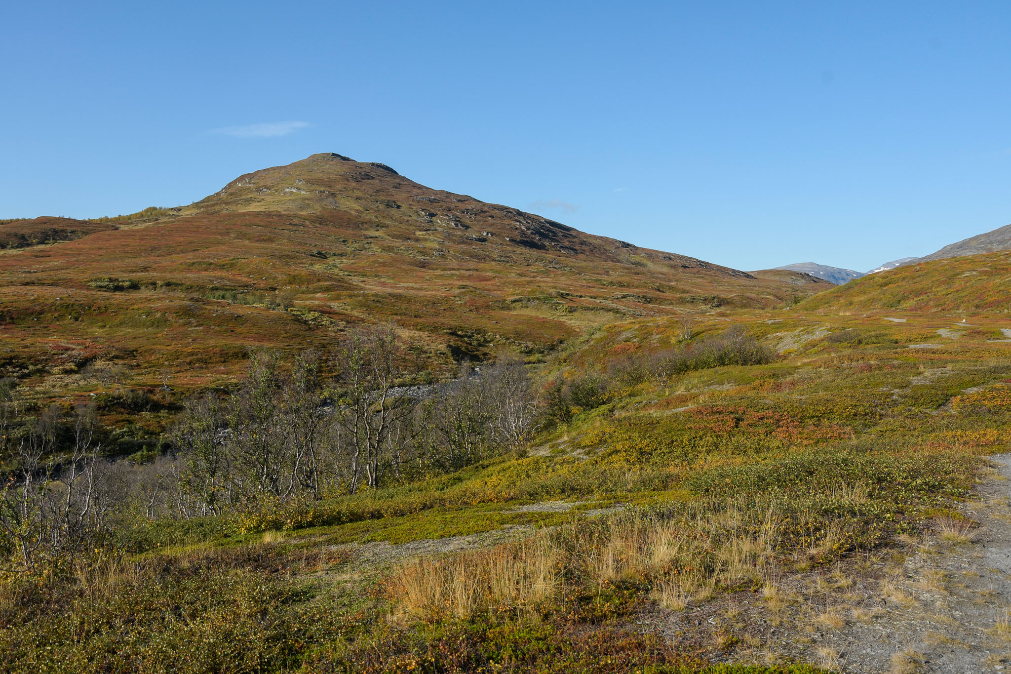 Abisko2018_DSC3126WEB.jpg