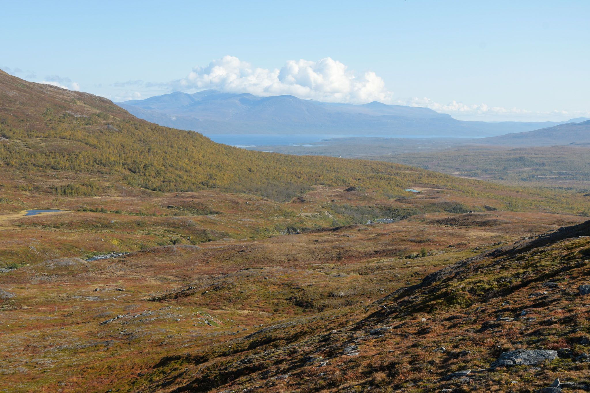 Abisko2018_DSC3128WEB.jpg