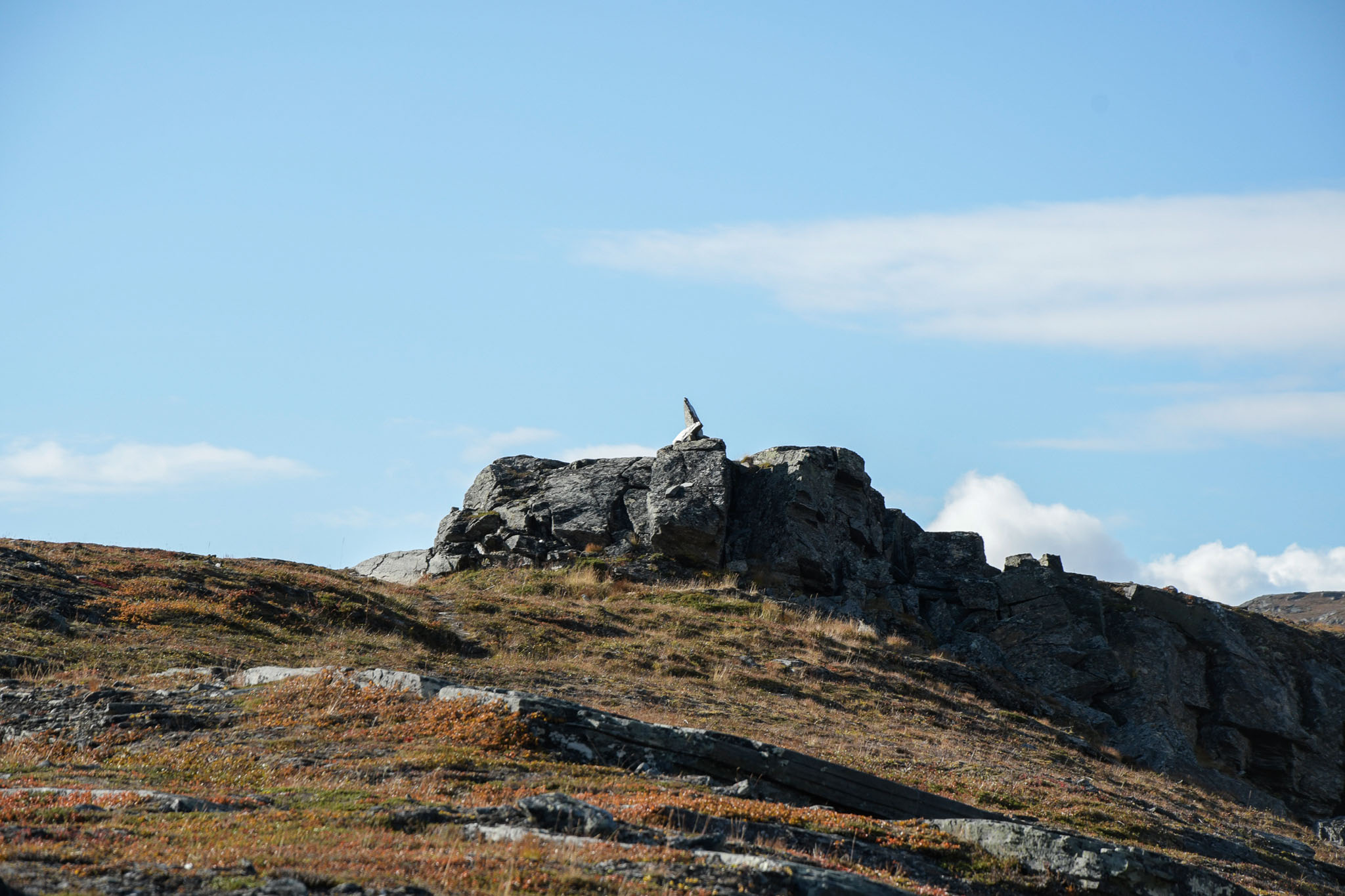 Abisko2018_DSC3139WEB.jpg