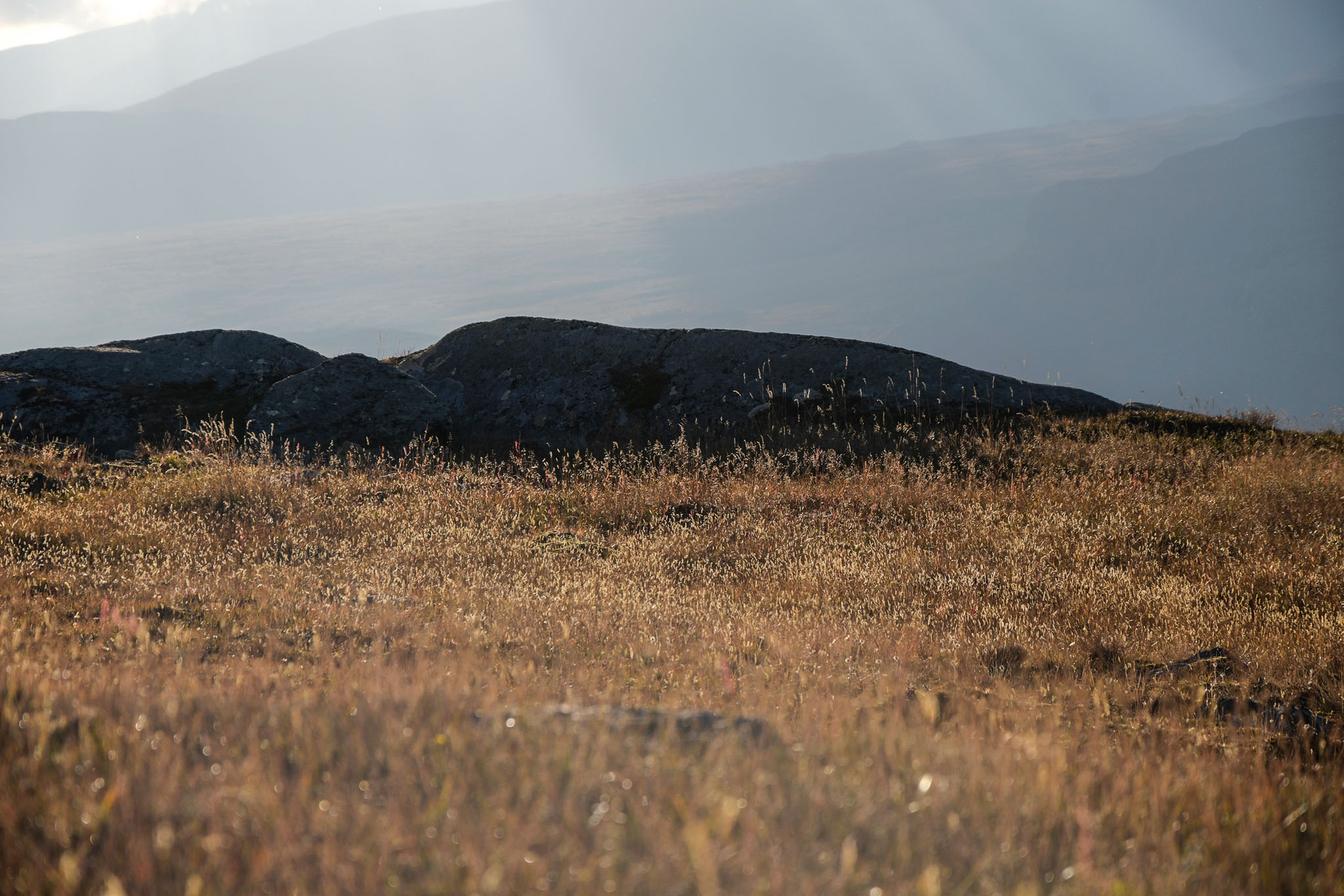 Abisko2018_DSC3364WEB.jpg