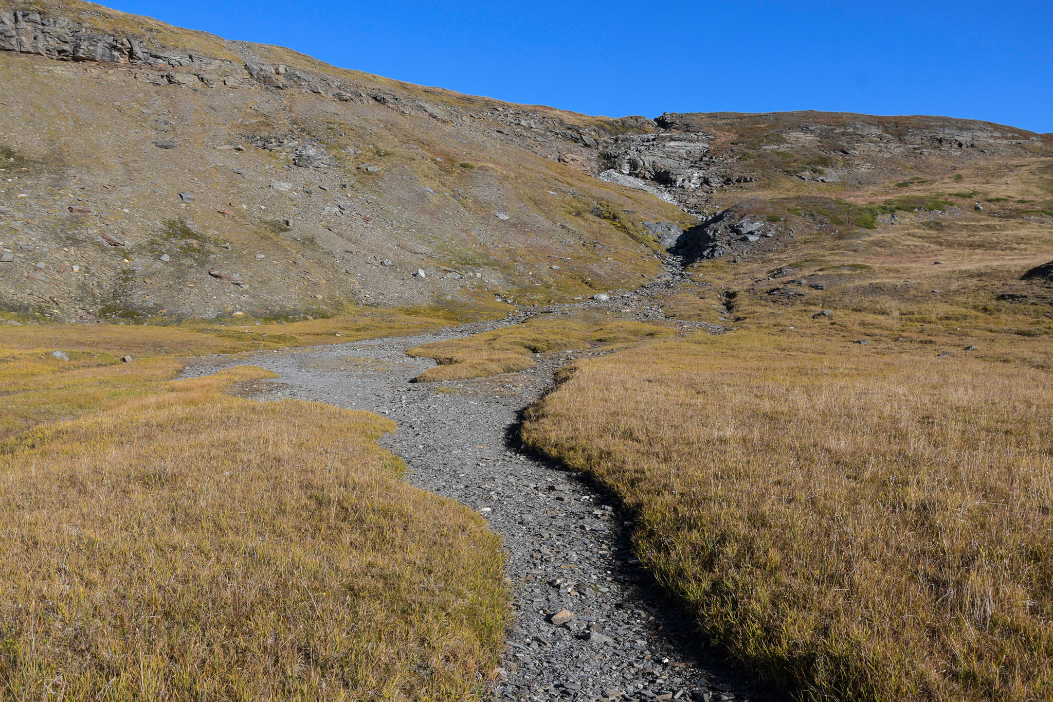 Abisko2018_DSC3381WEB.jpg