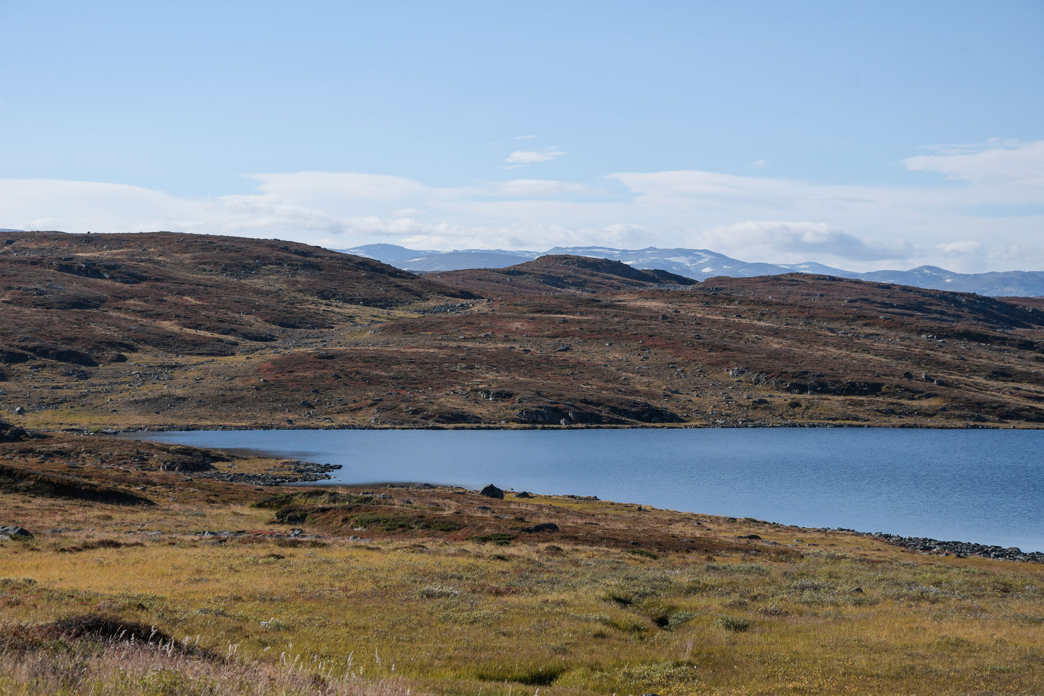 Abisko2018_DSC3388WEB.jpg