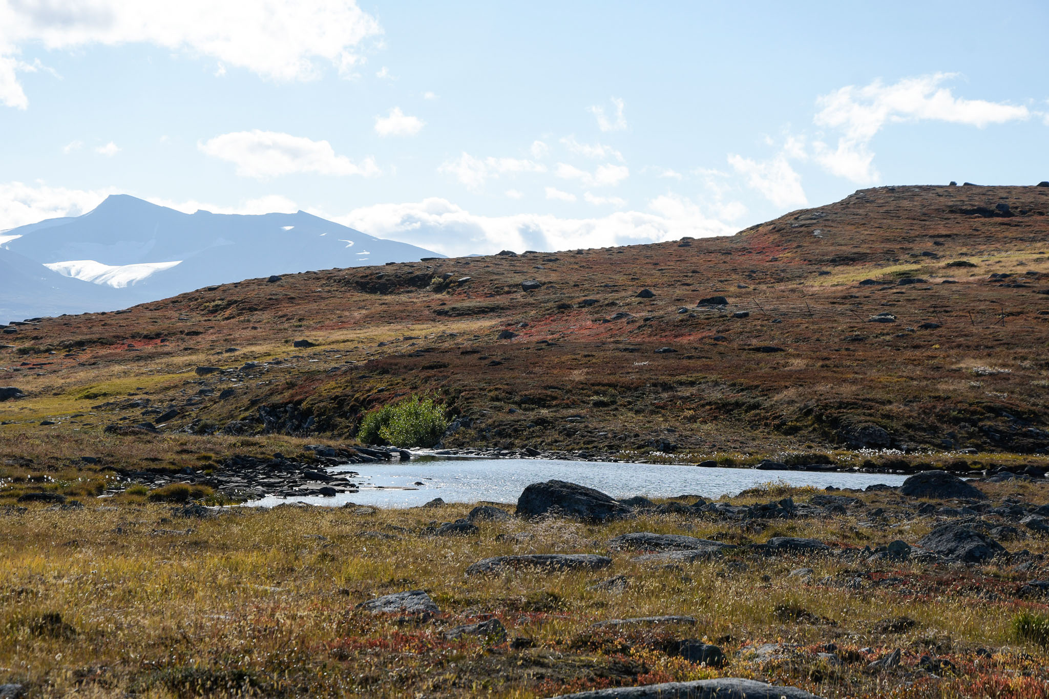 Abisko2018_DSC3389WEB.jpg