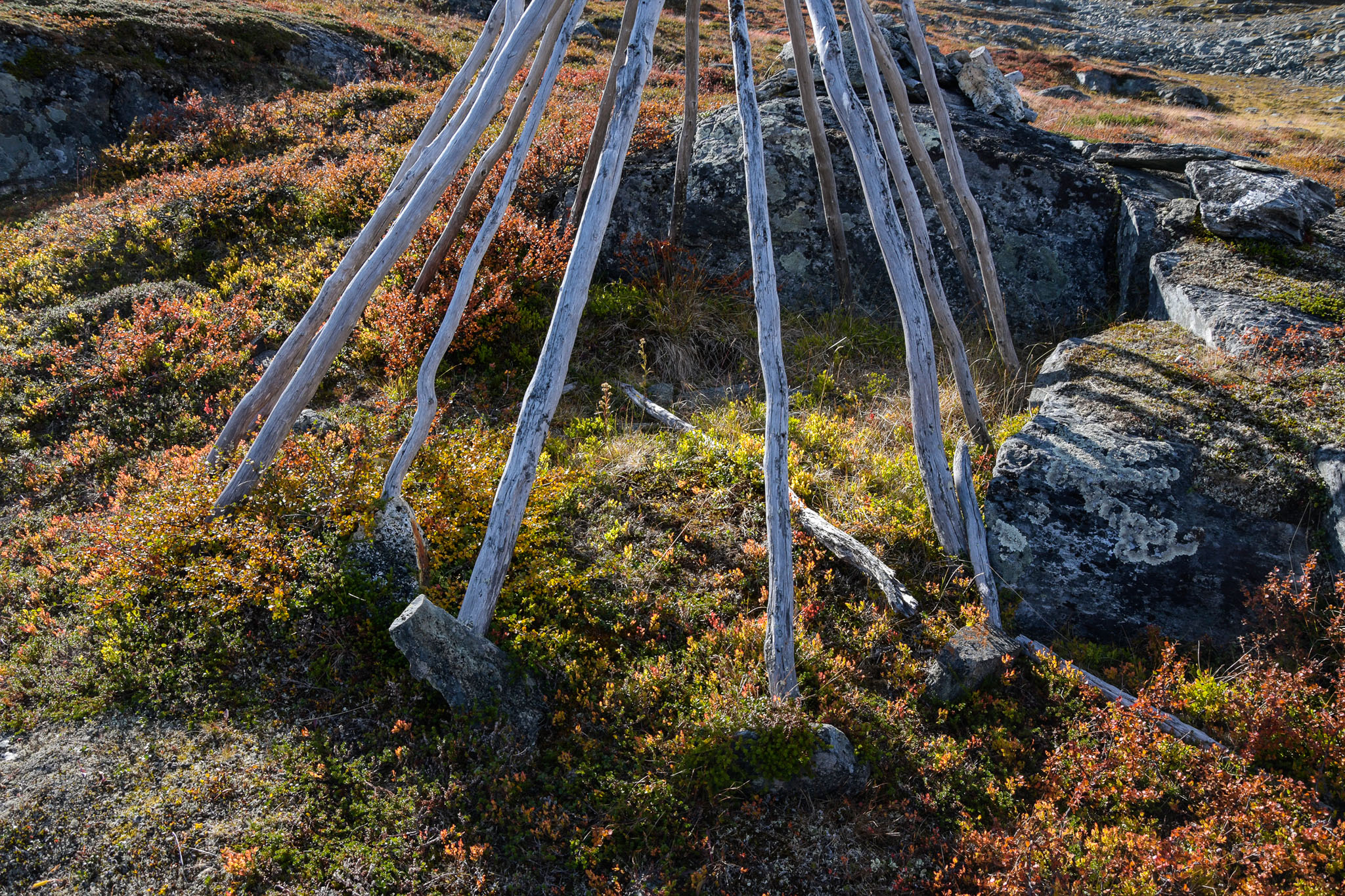 Abisko2018_DSC3420WEB.jpg