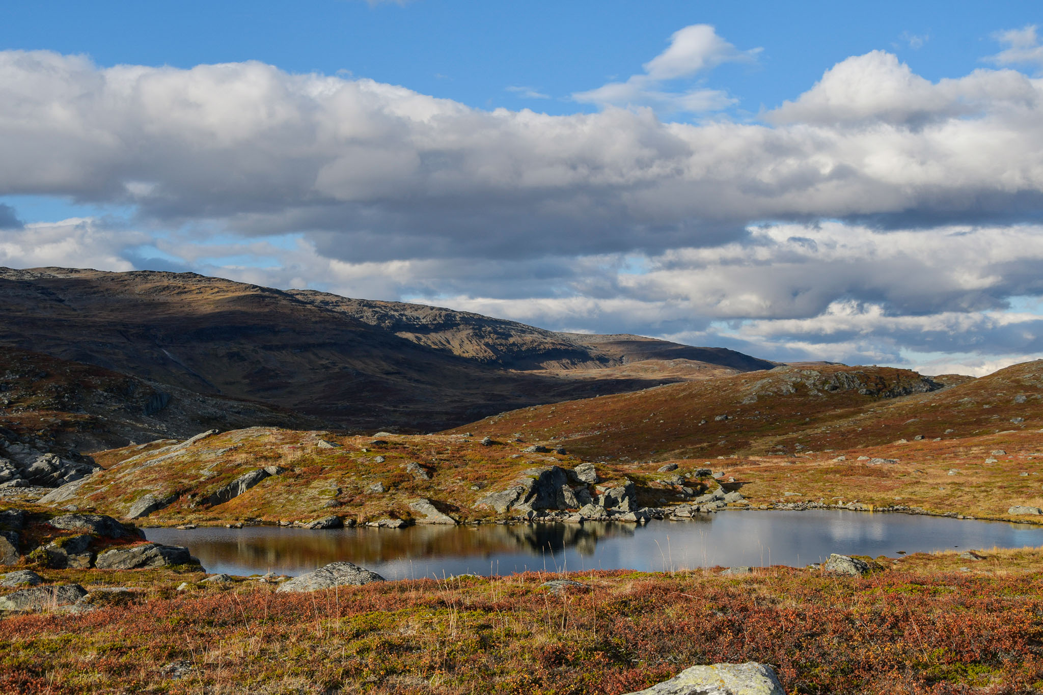 Abisko2018_DSC3446WEB.jpg