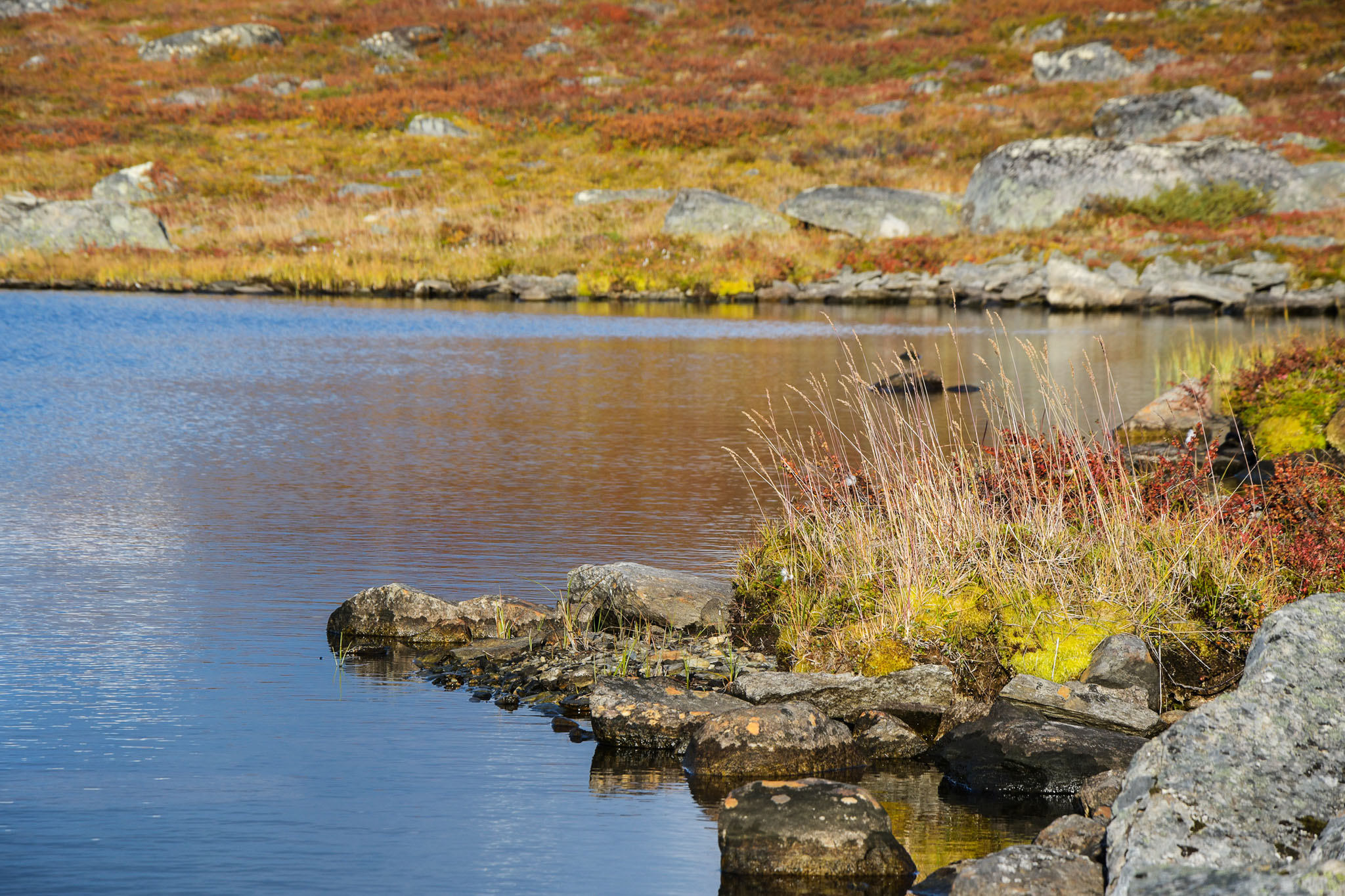 Abisko2018_DSC3472WEB.jpg