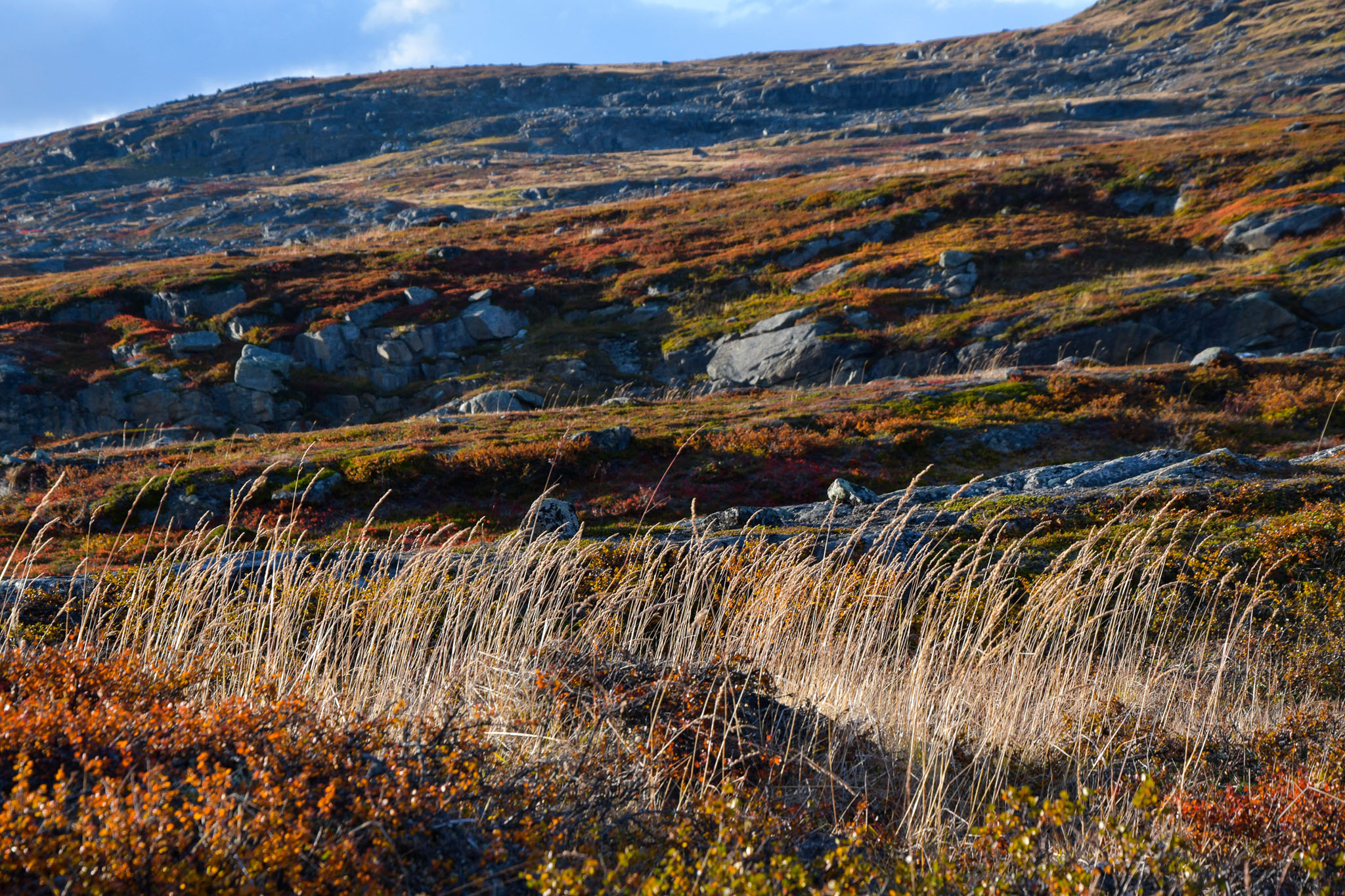 Abisko2018_DSC3478WEB.jpg