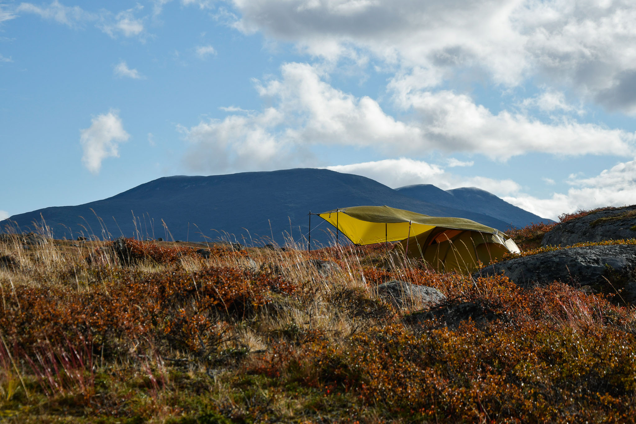 Abisko2018_DSC3493WEB.jpg