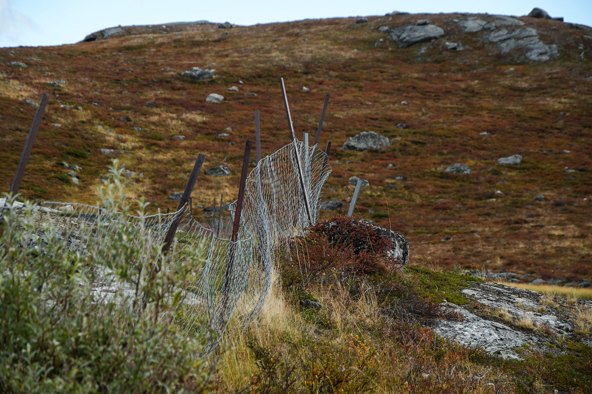 Abisko2018_DSC3510WEB.jpg