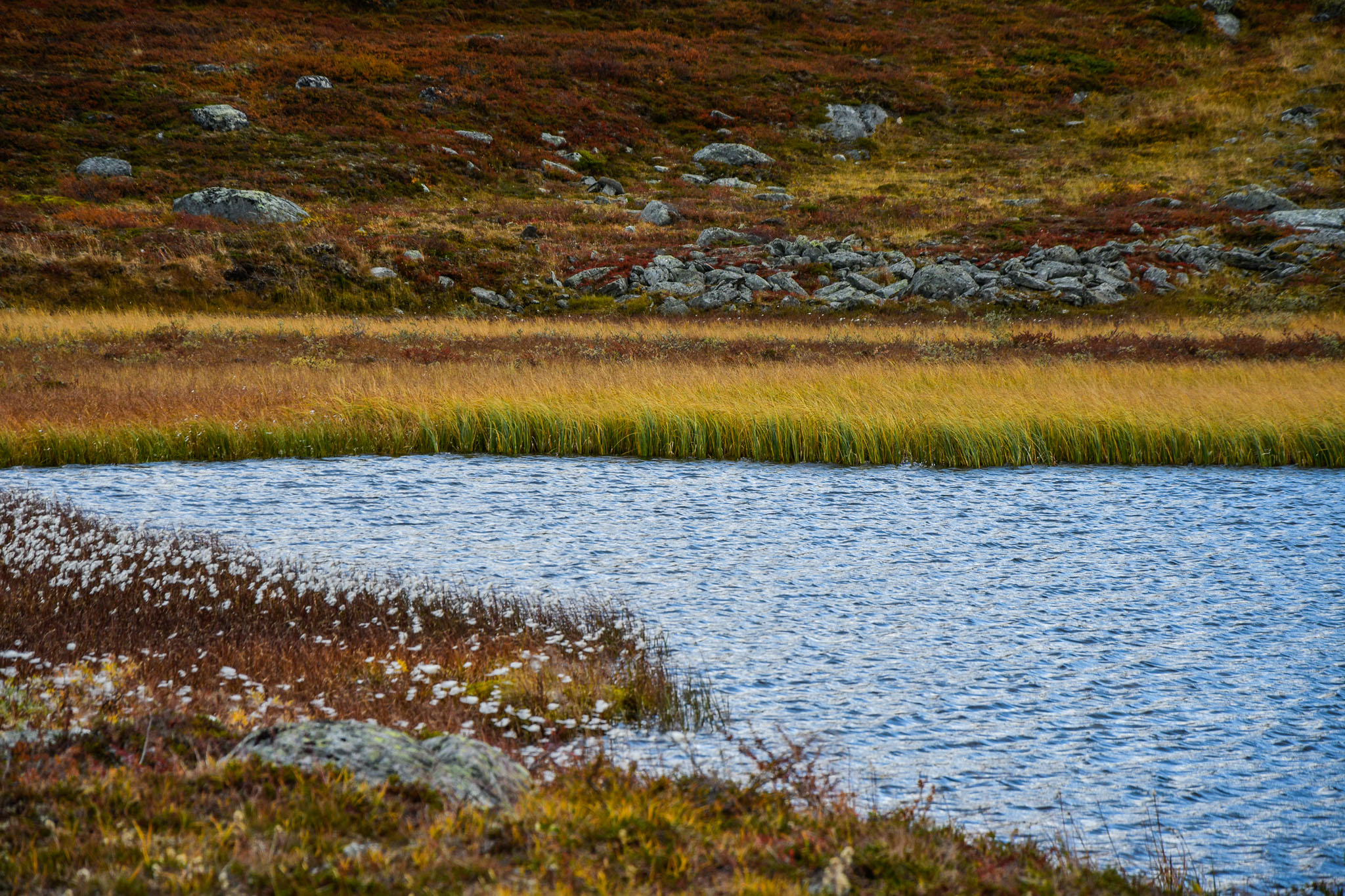 Abisko2018_DSC3514WEB.jpg