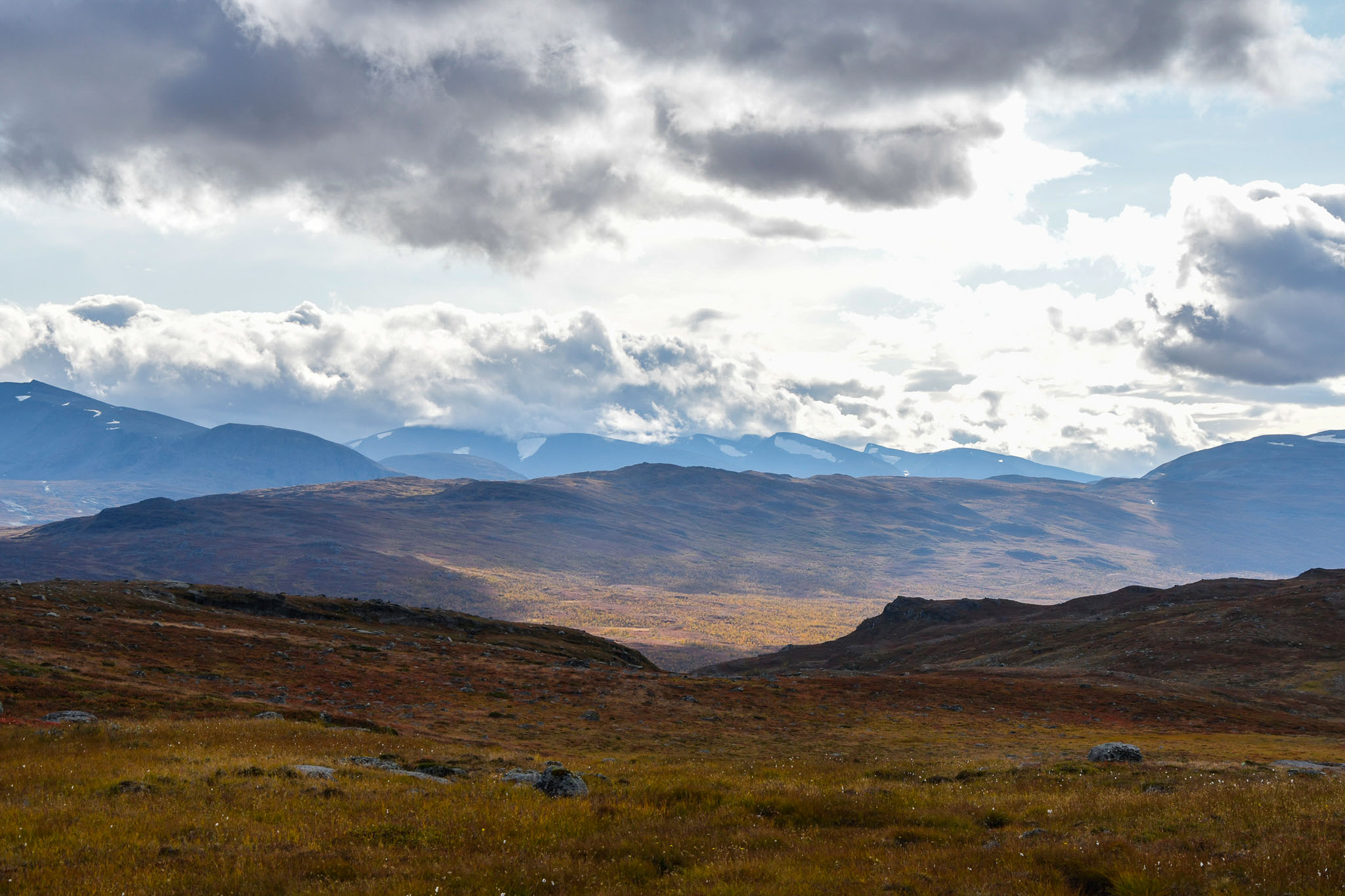 Abisko2018_DSC3521WEB.jpg