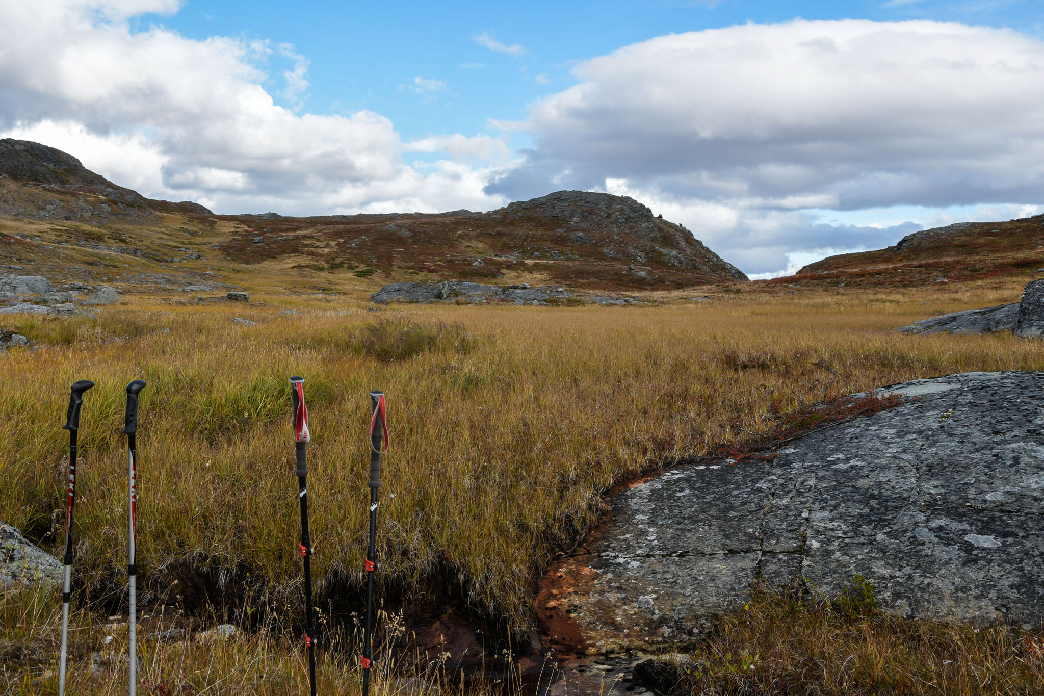 Abisko2018_DSC3523WEB.jpg