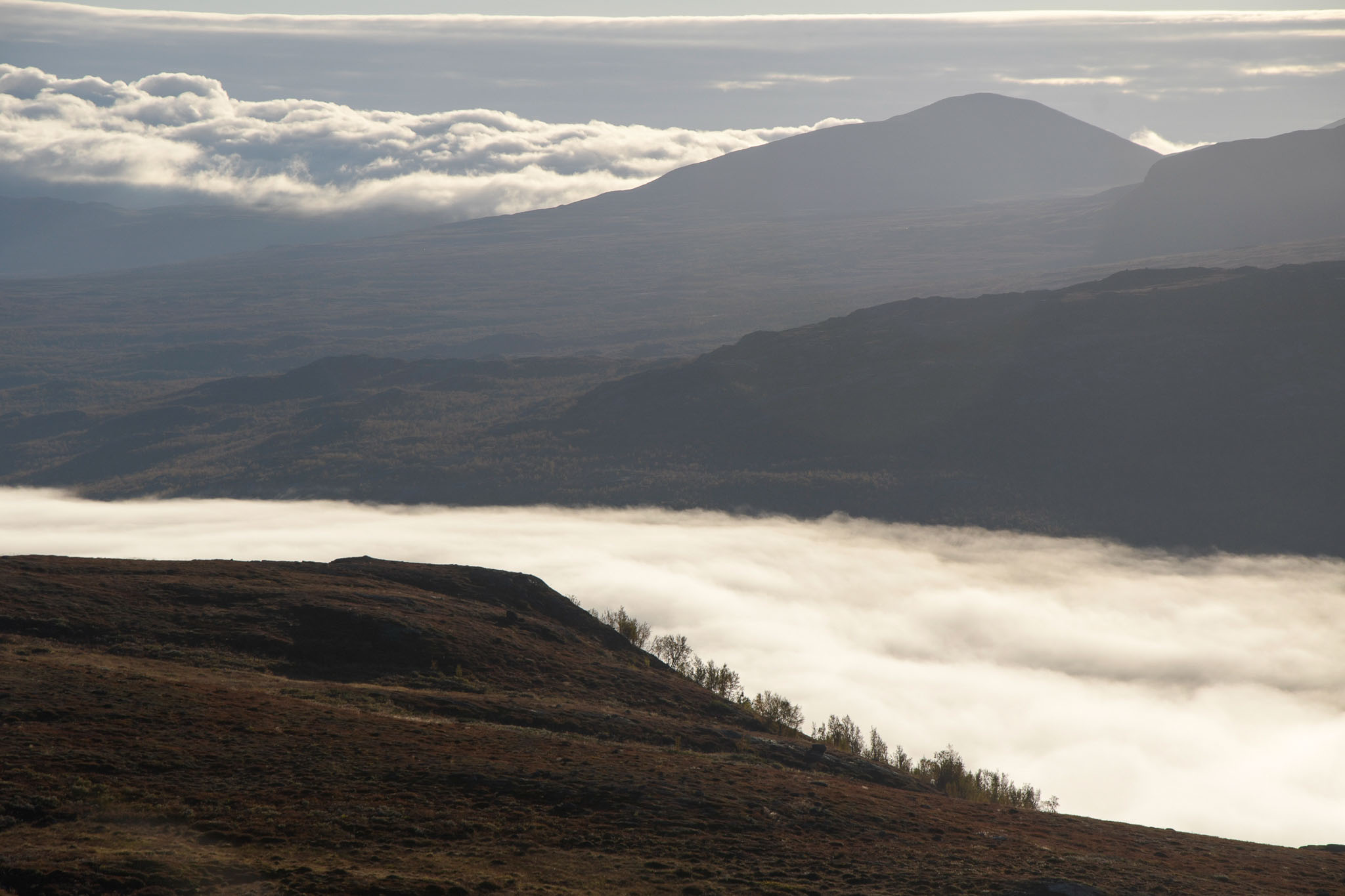 Abisko2018_DSC3559WEB.jpg