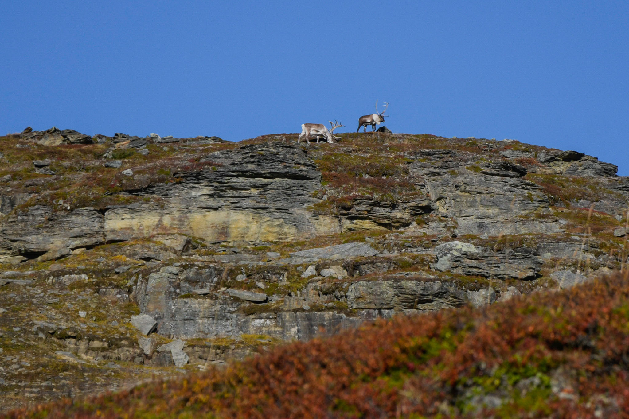 Abisko2018_DSC3568WEB.jpg