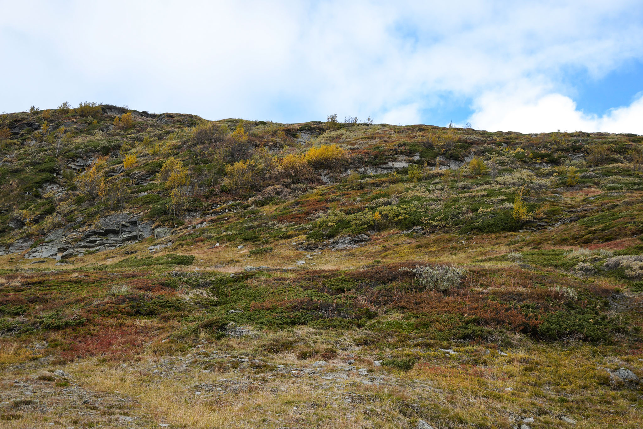 Abisko2018_DSC3647WEB.jpg