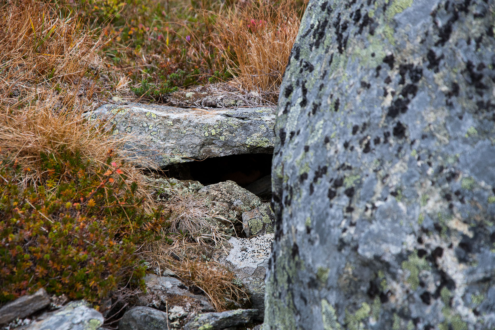 Abisko2018_DSC3666_A_WEB.jpg