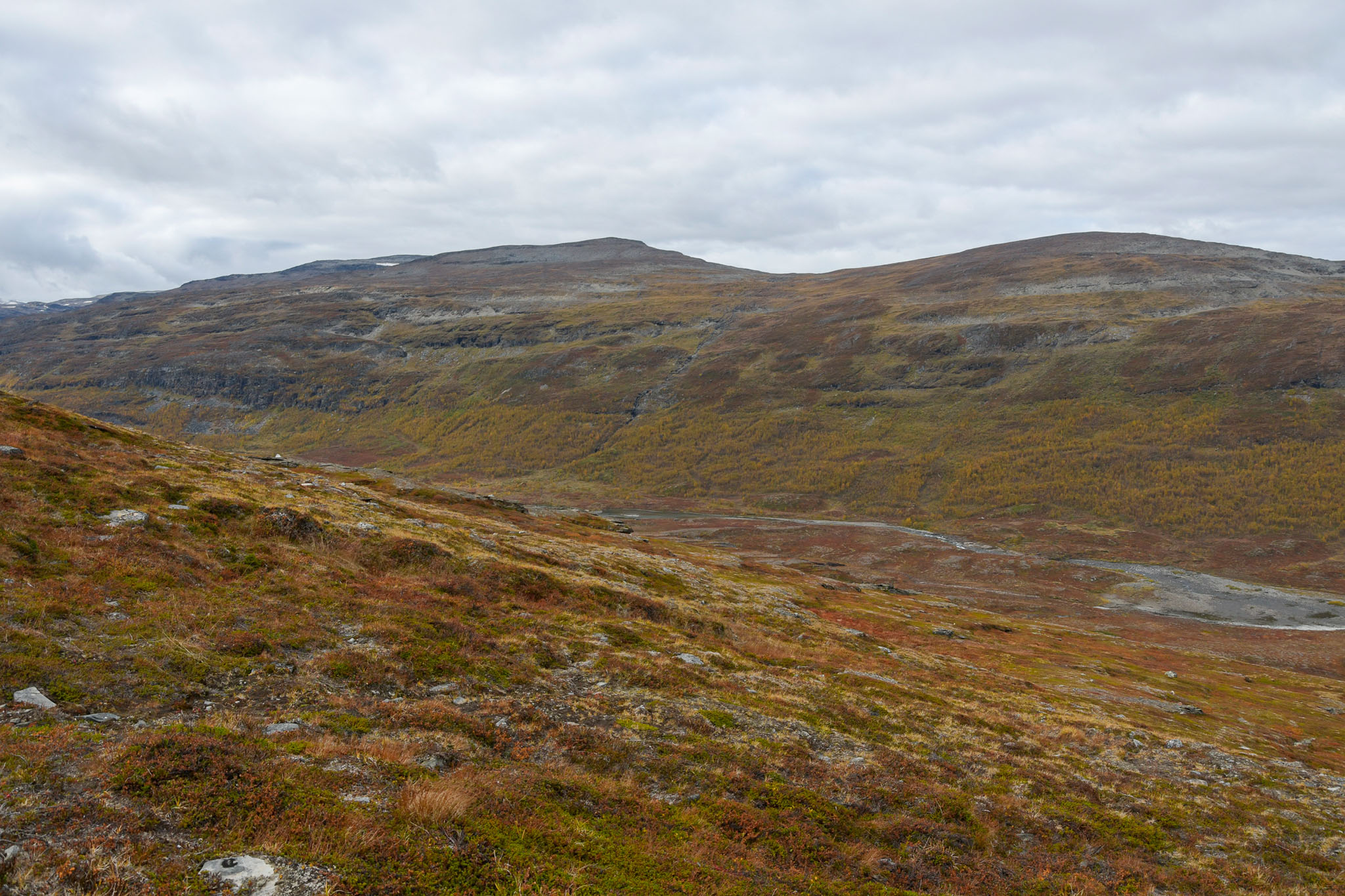 Abisko2018_DSC3673WEB.jpg