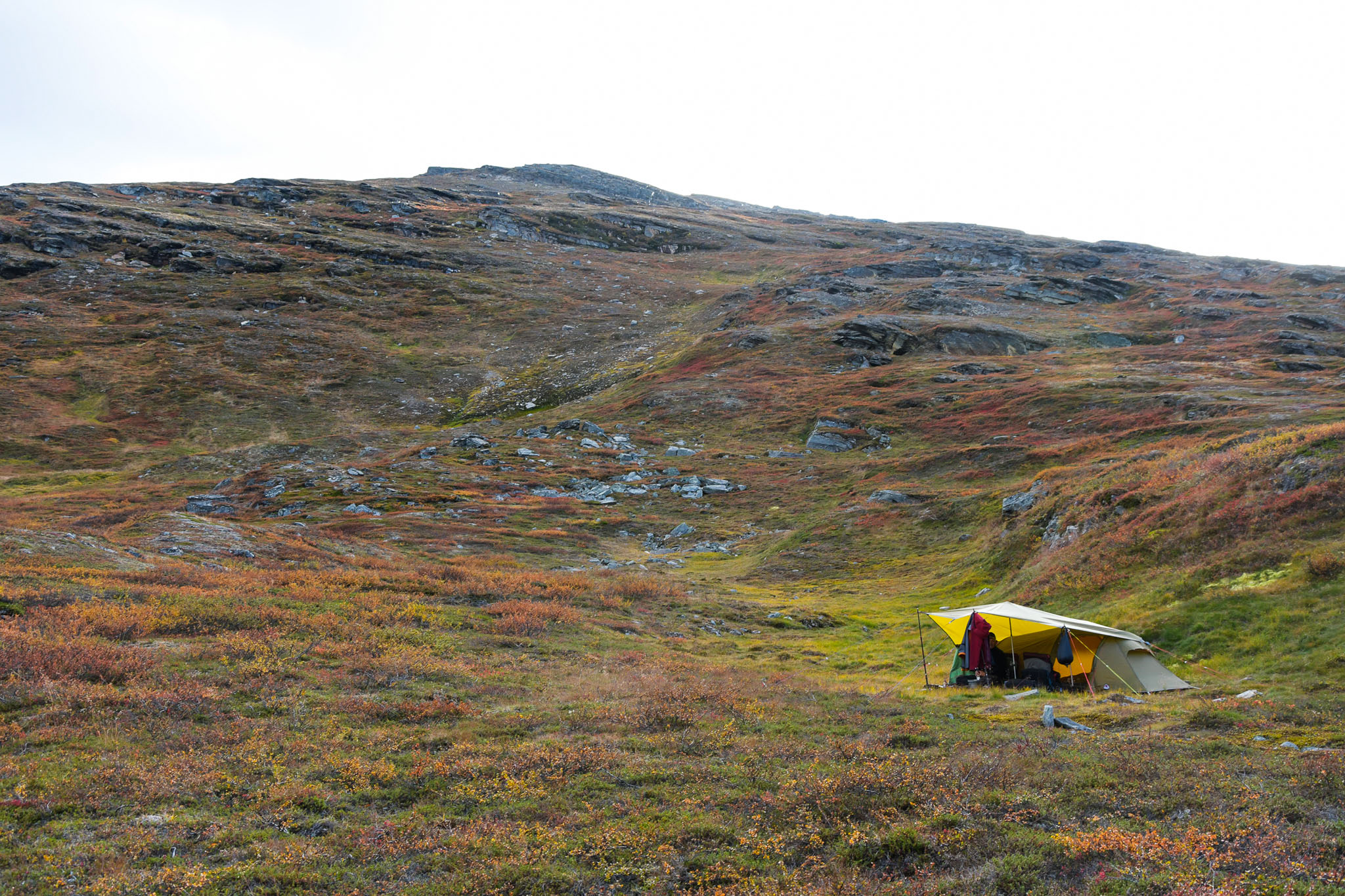 Abisko2018_DSC3679WEB.jpg