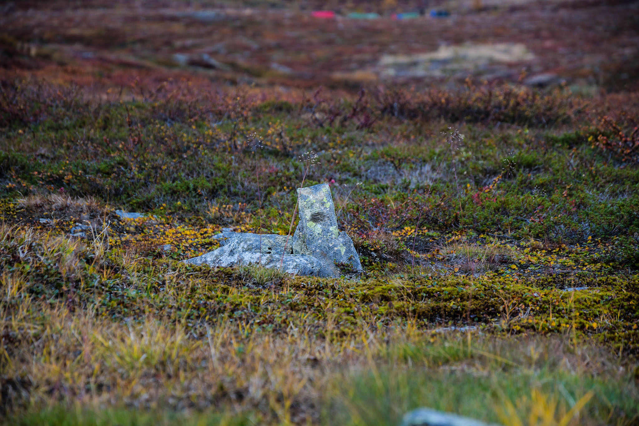 Abisko2018_DSC3680WEB.jpg