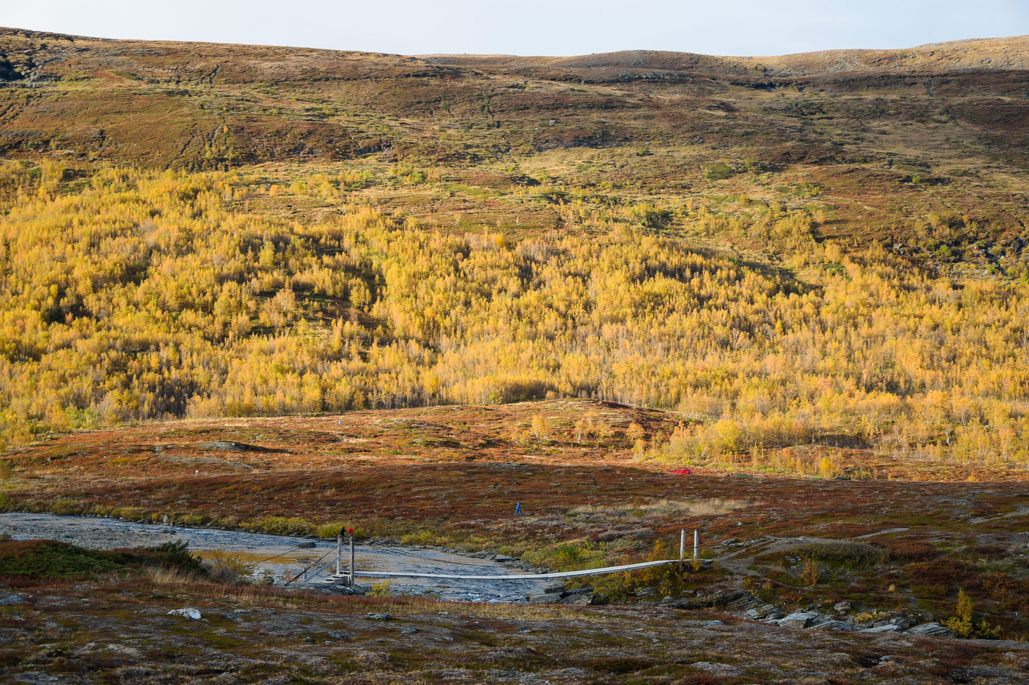 Abisko2018_DSC3681WEB.jpg