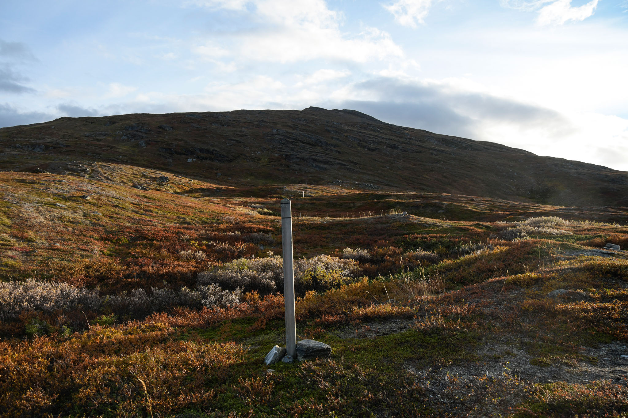 Abisko2018_DSC3686WEB.jpg