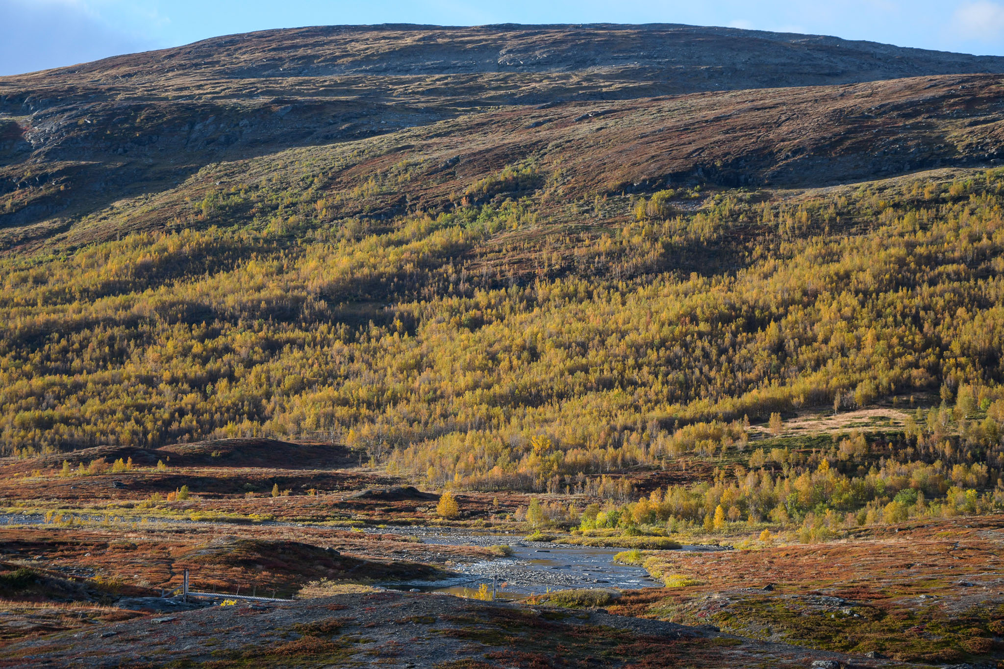 Abisko2018_DSC3687WEB.jpg