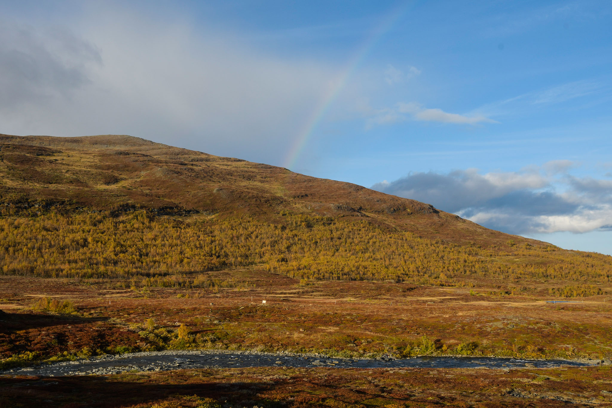 Abisko2018_DSC3690WEB.jpg