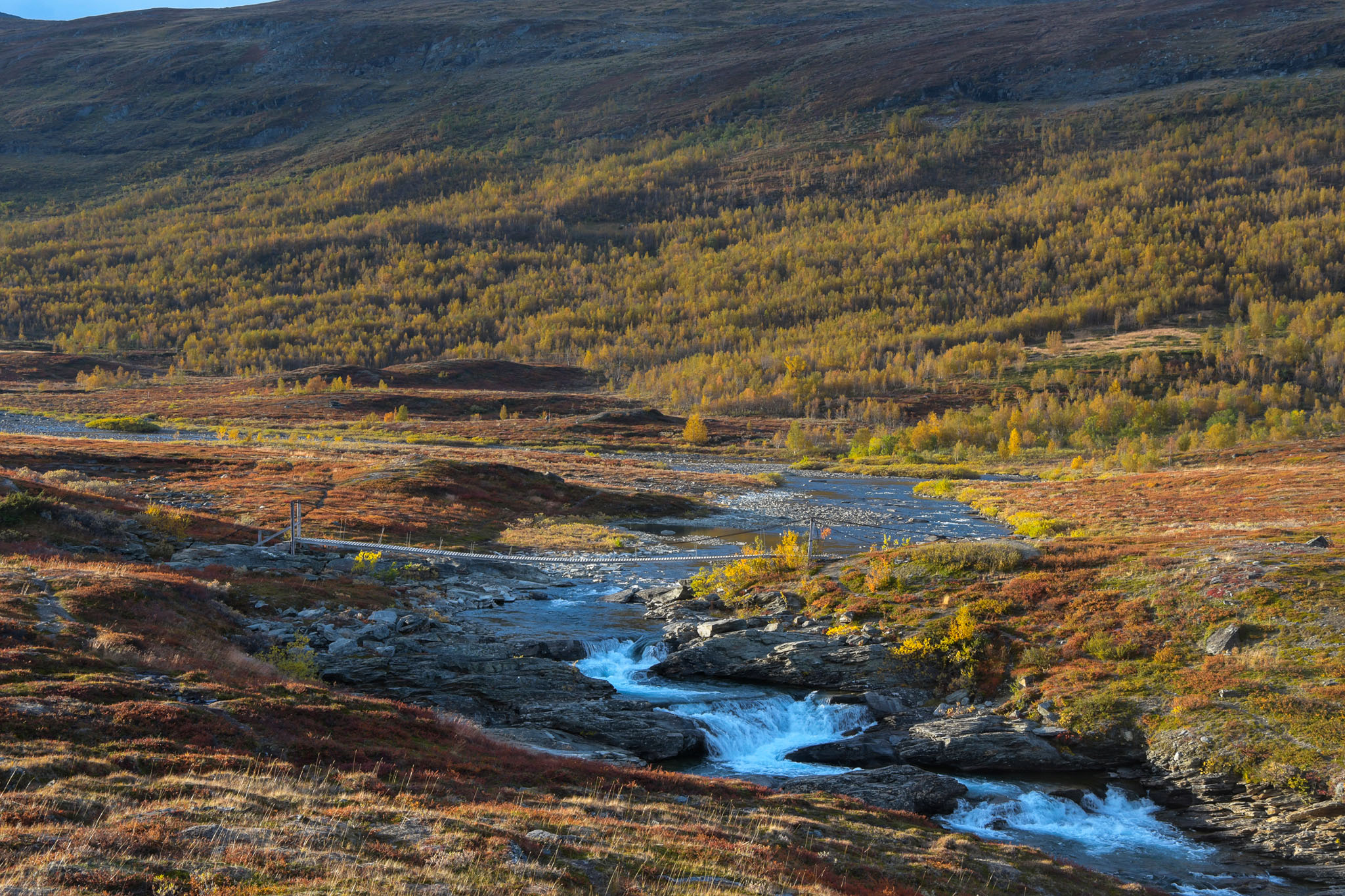 Abisko2018_DSC3691WEB.jpg