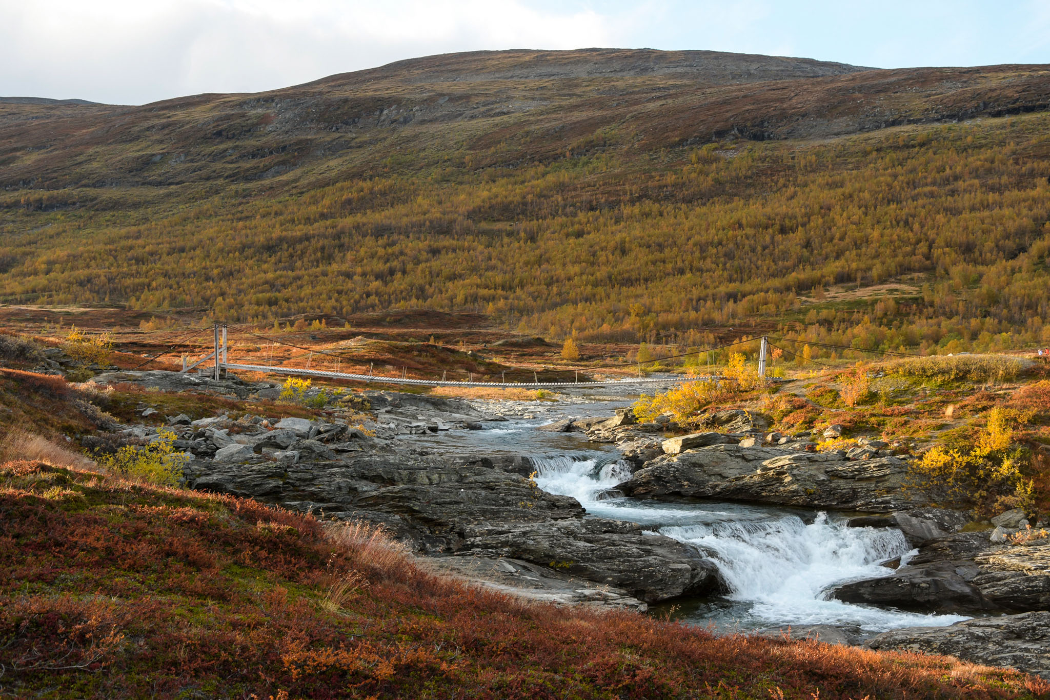 Abisko2018_DSC3695WEB.jpg