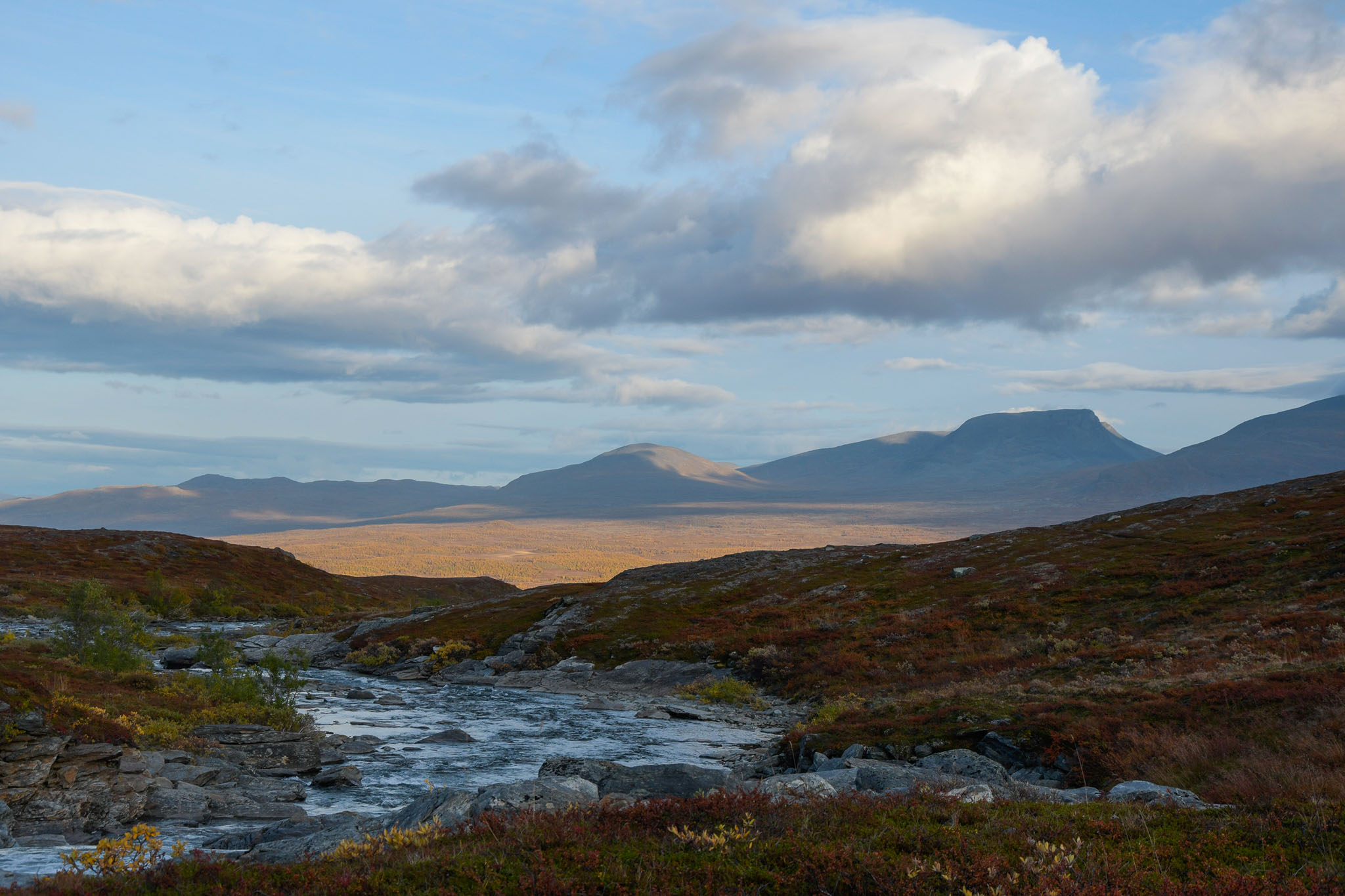 Abisko2018_DSC3698WEB.jpg