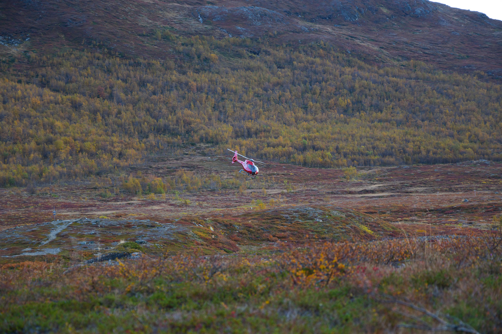 Abisko2018_DSC3760WEB.jpg