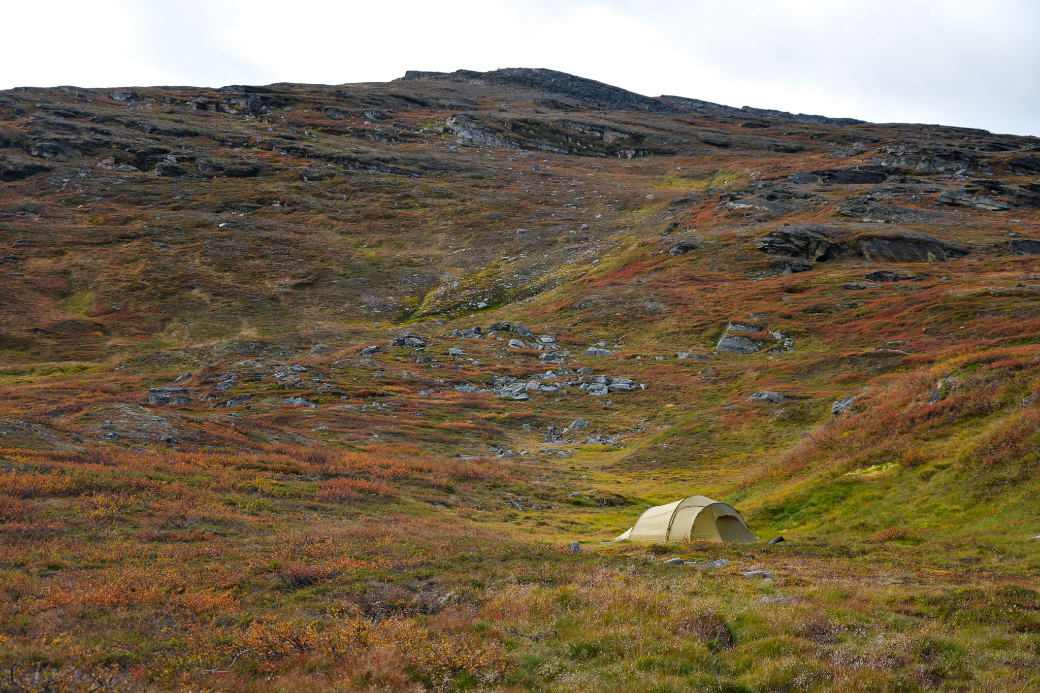 Abisko2018_DSC3763WEB.jpg