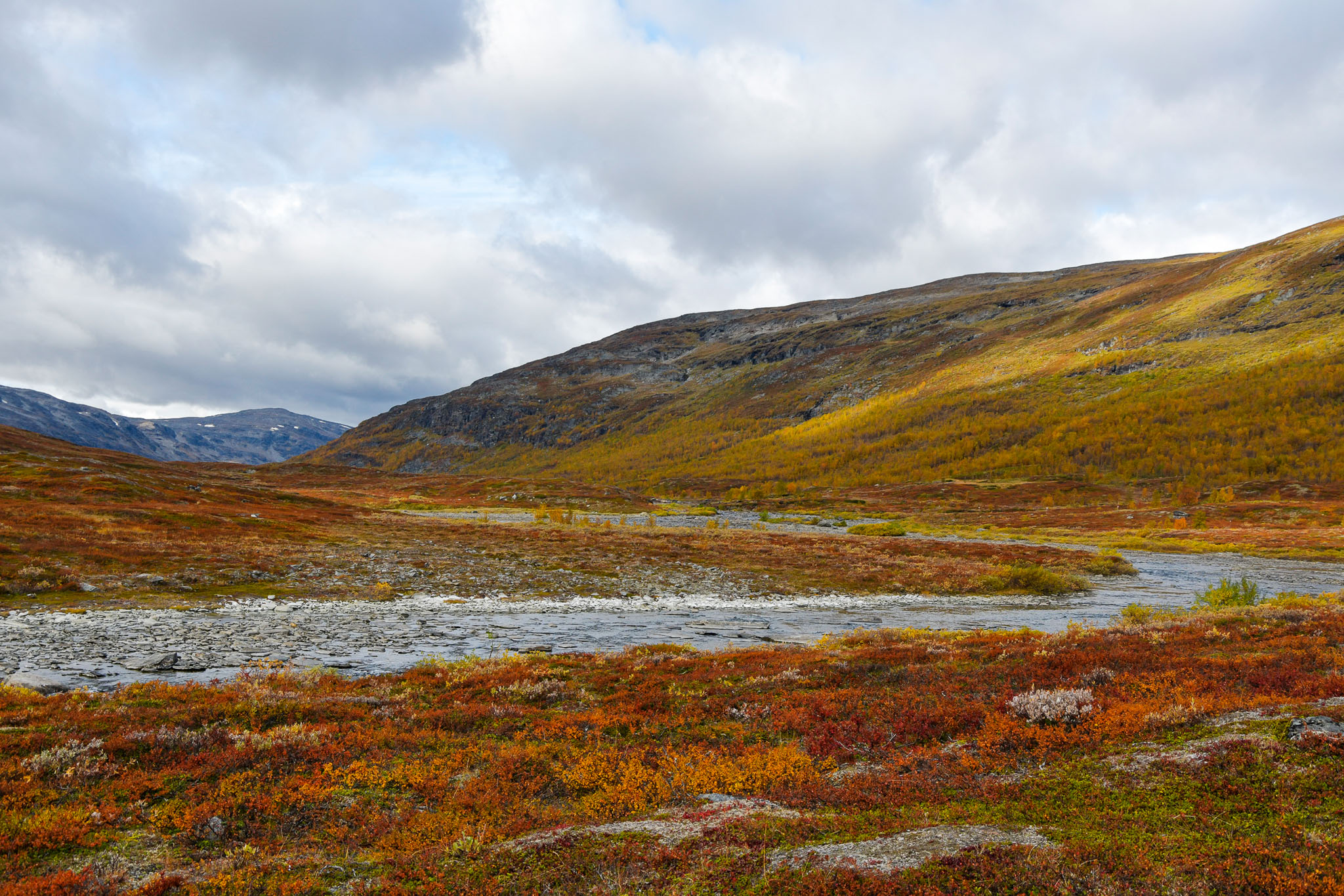 Abisko2018_DSC3769WEB.jpg