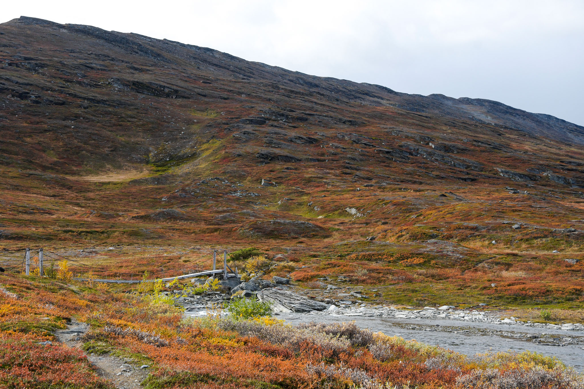 Abisko2018_DSC3773WEB.jpg