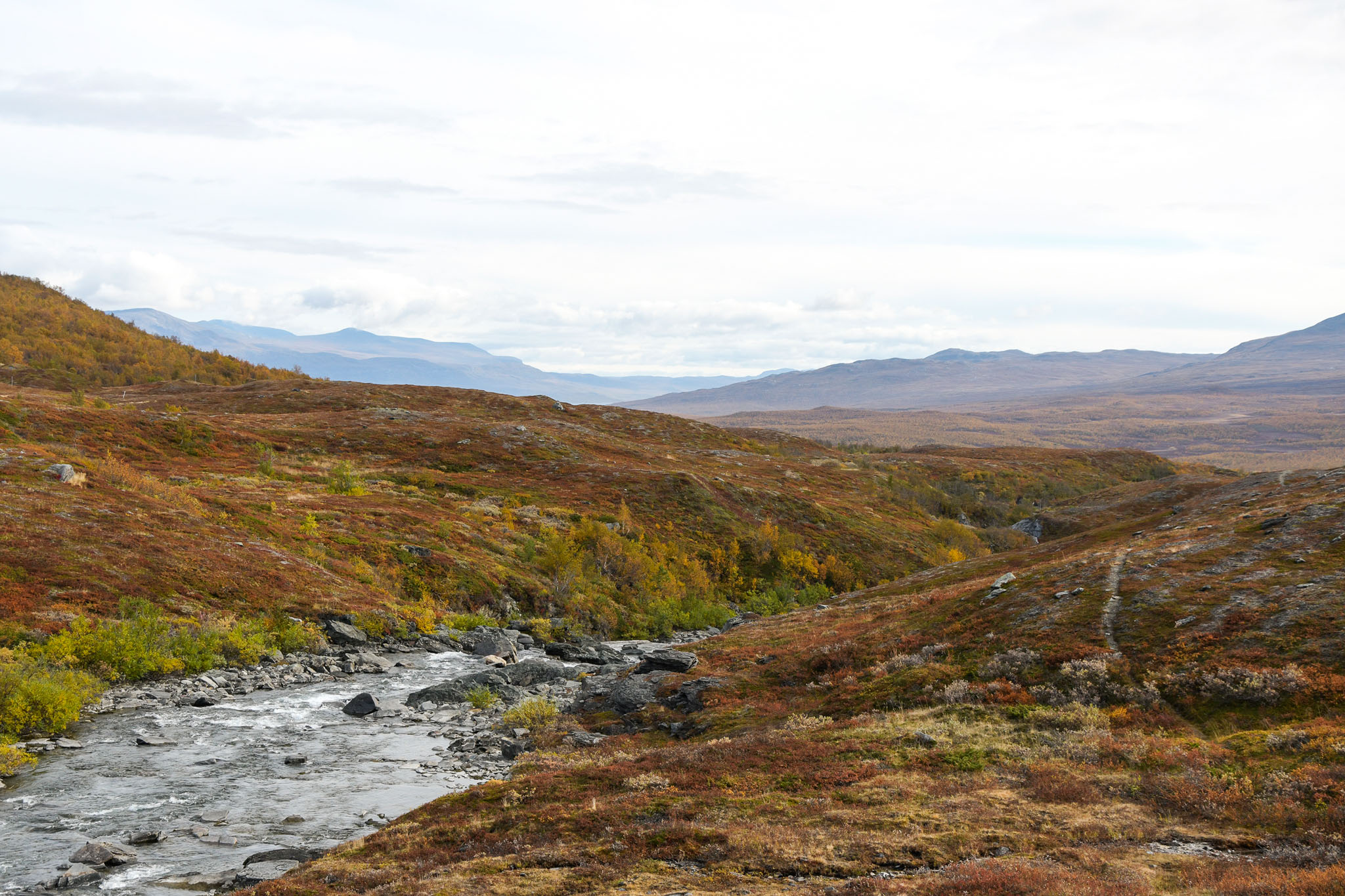 Abisko2018_DSC3777WEB.jpg