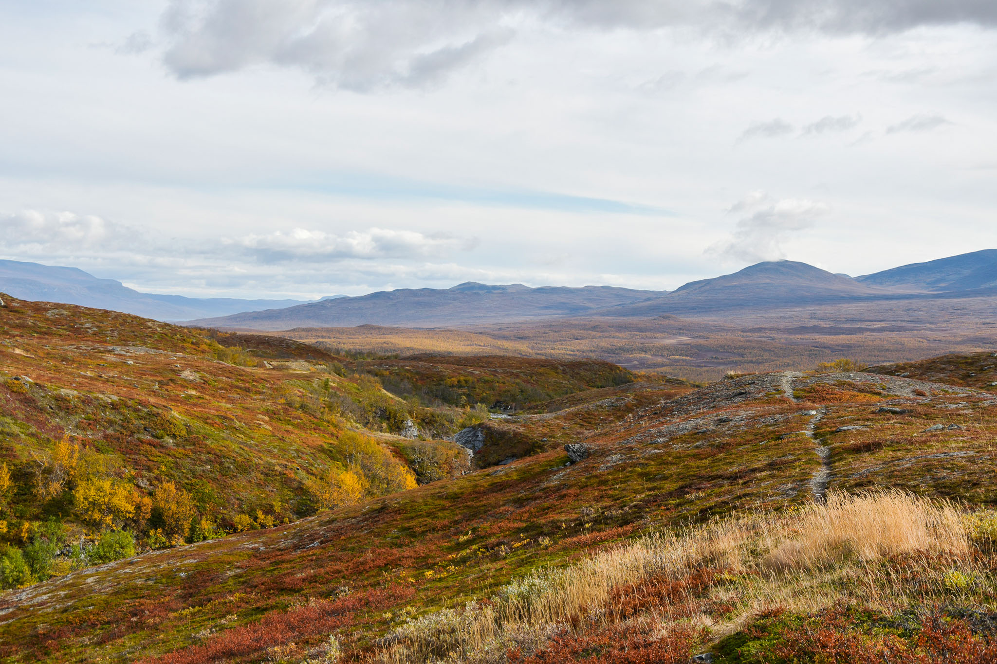 Abisko2018_DSC3789WEB.jpg