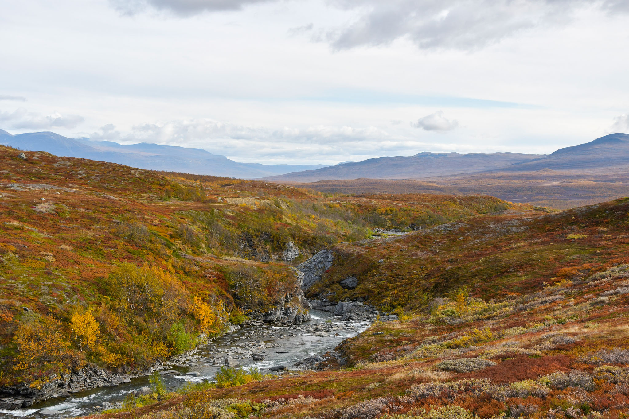 Abisko2018_DSC3790WEB.jpg