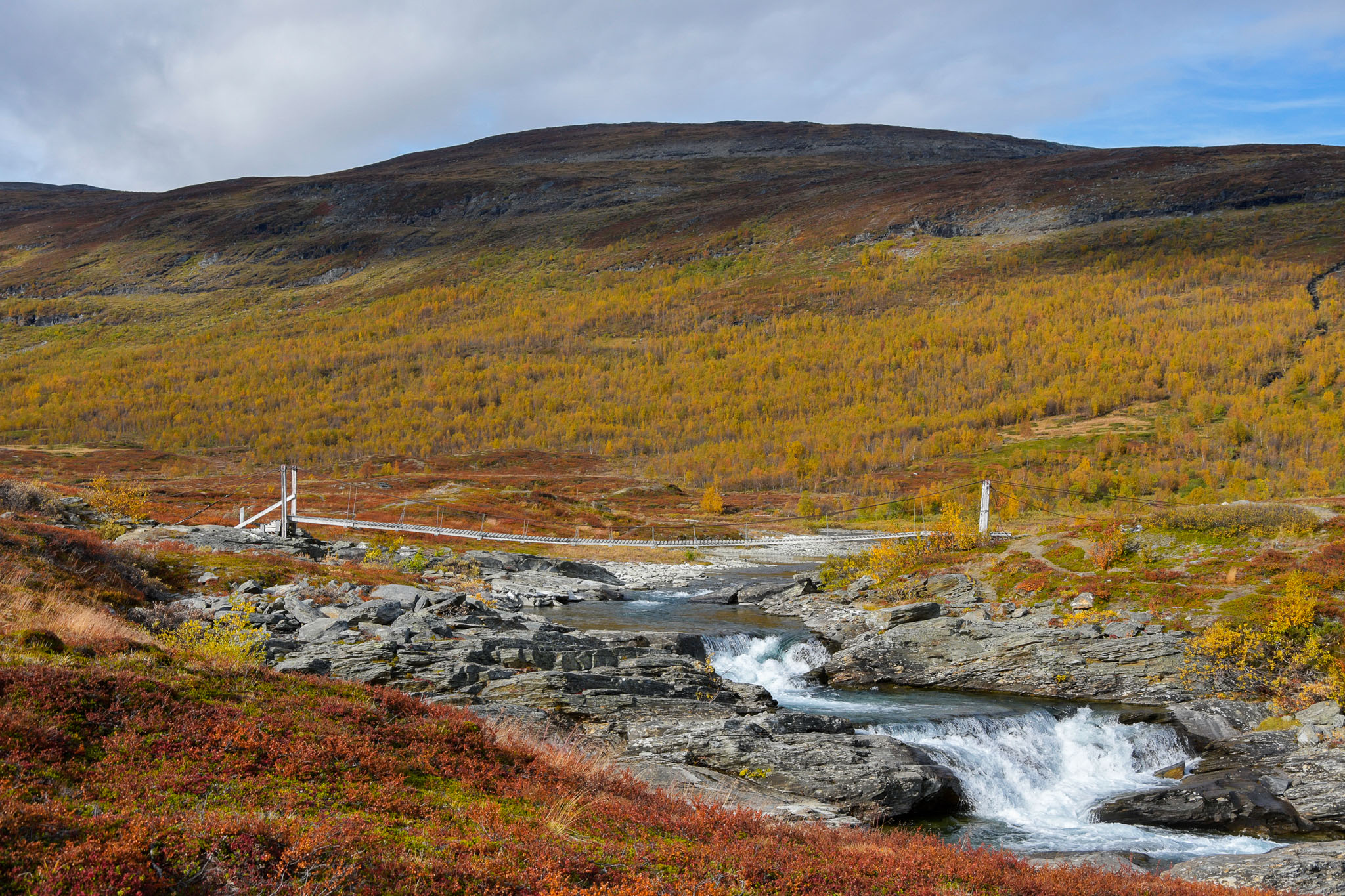 Abisko2018_DSC3792WEB.jpg