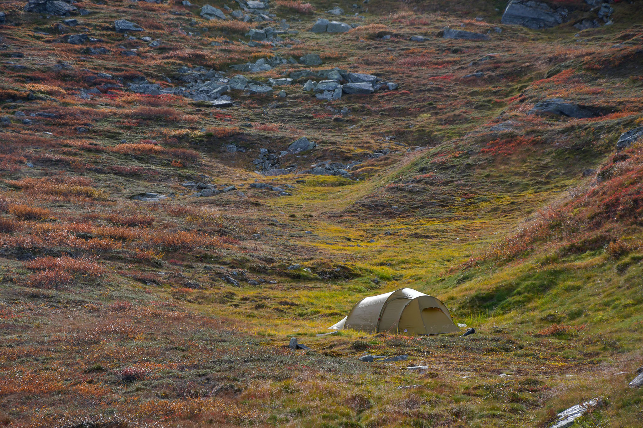 Abisko2018_DSC3795WEB.jpg