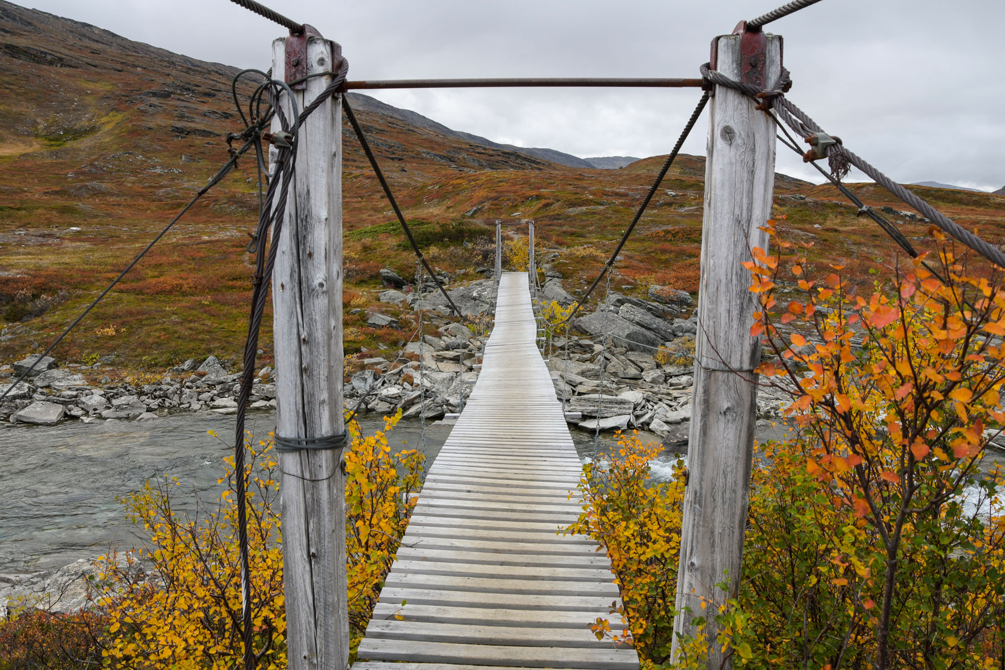 Abisko2018_DSC3797WEB.jpg