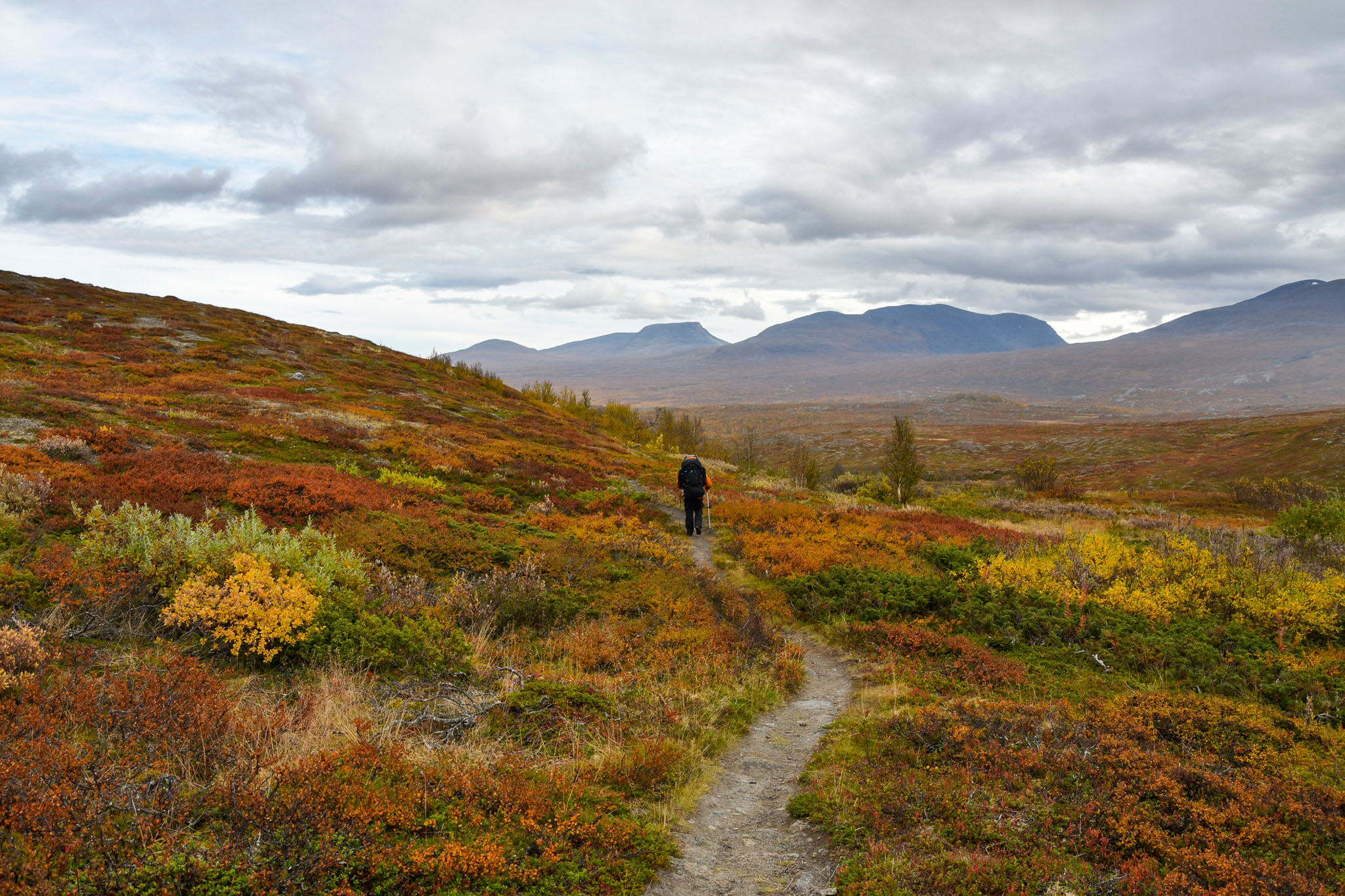 Abisko2018_DSC3798WEB.jpg