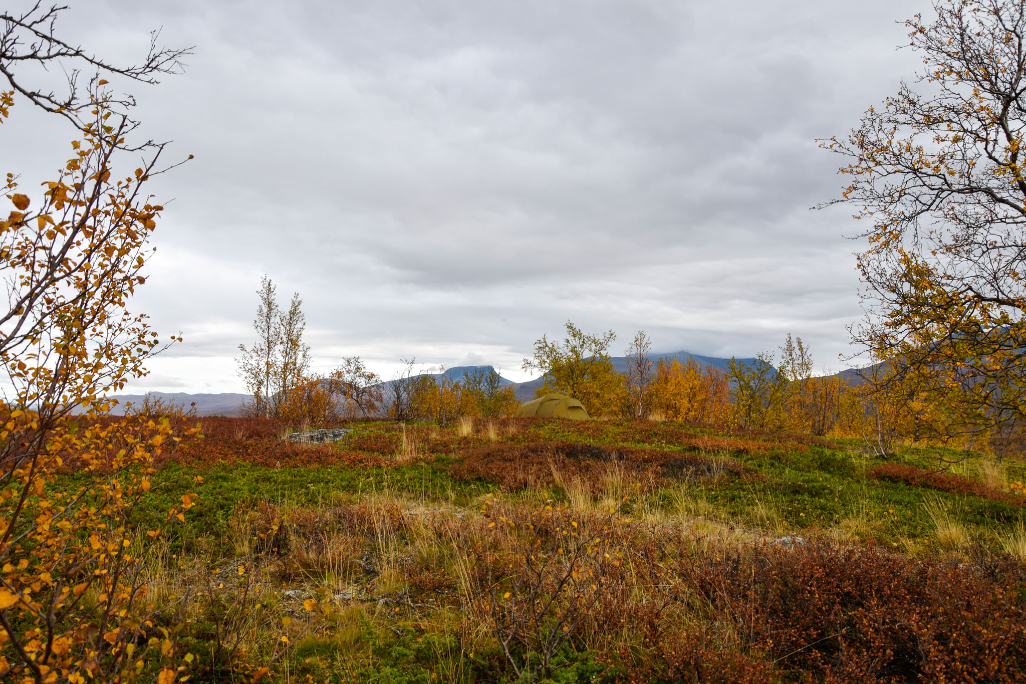 Abisko2018_DSC3799WEB.jpg