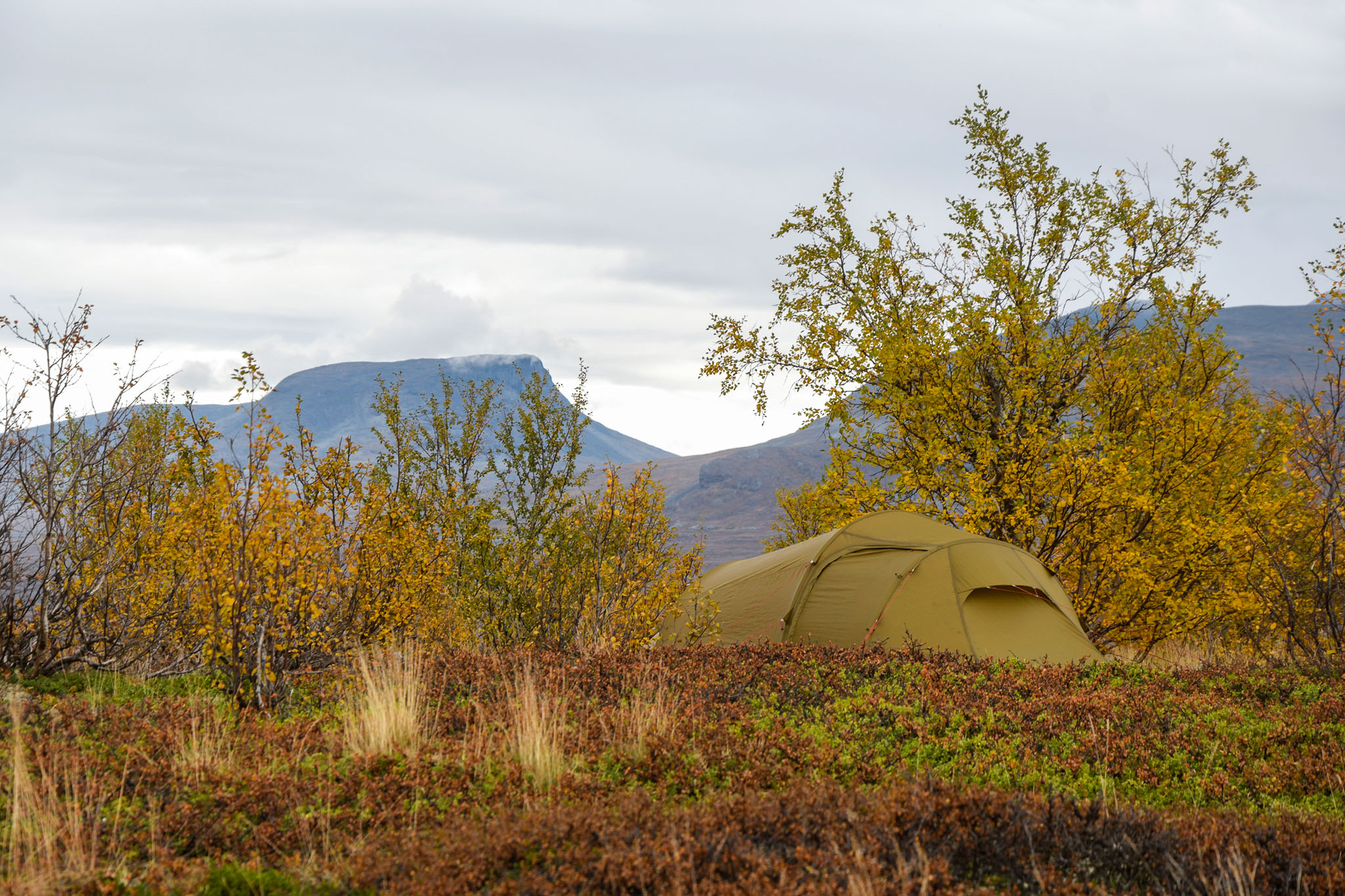 Abisko2018_DSC3800WEB.jpg