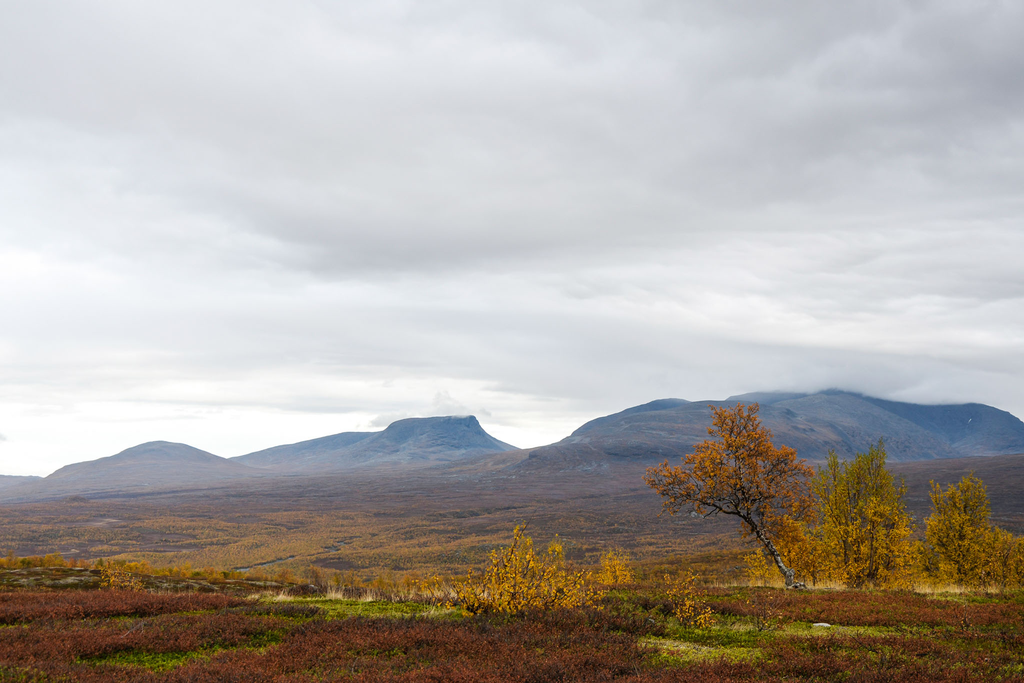 Abisko2018_DSC3803WEB.jpg